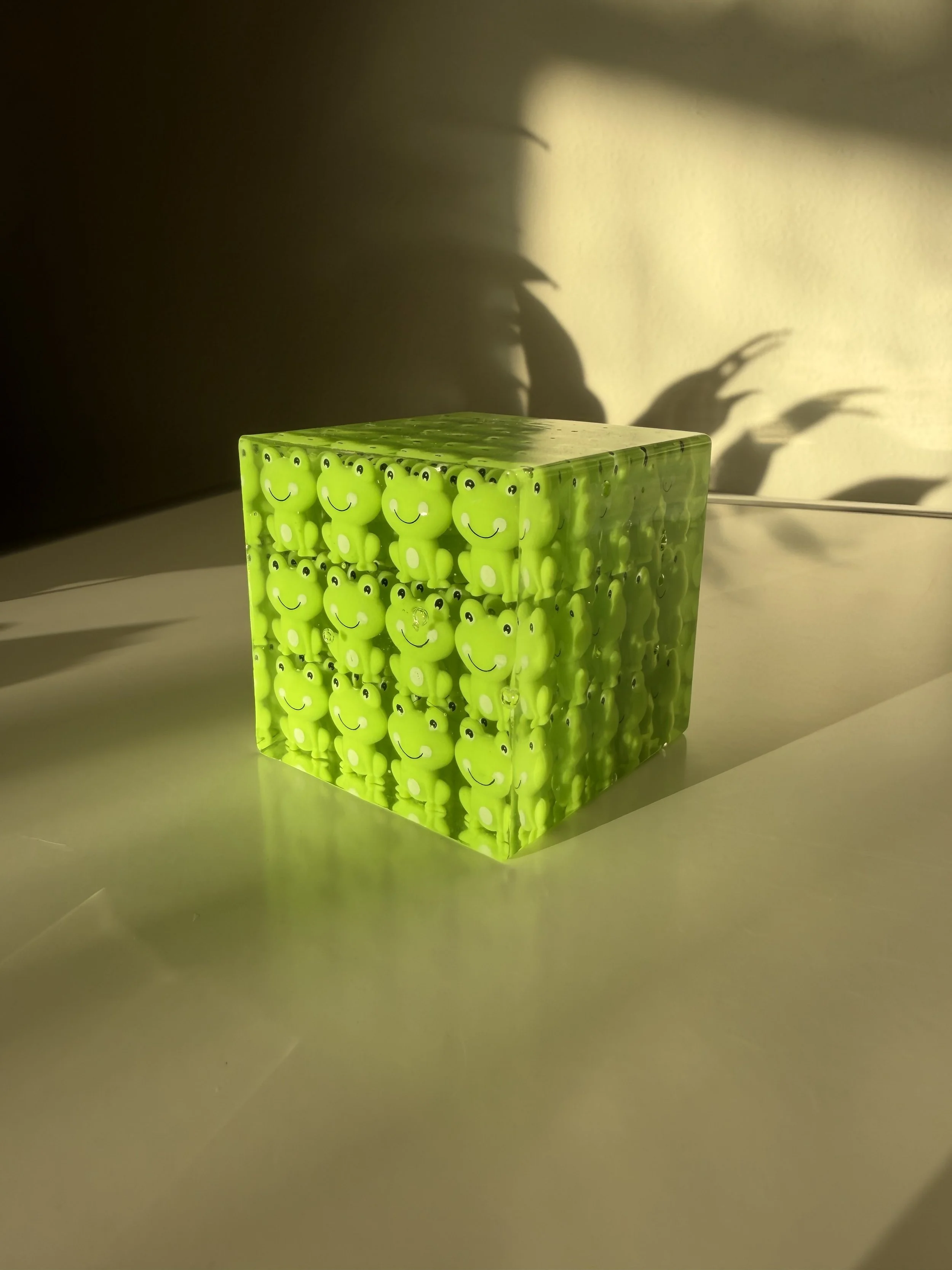 The Frog Cube