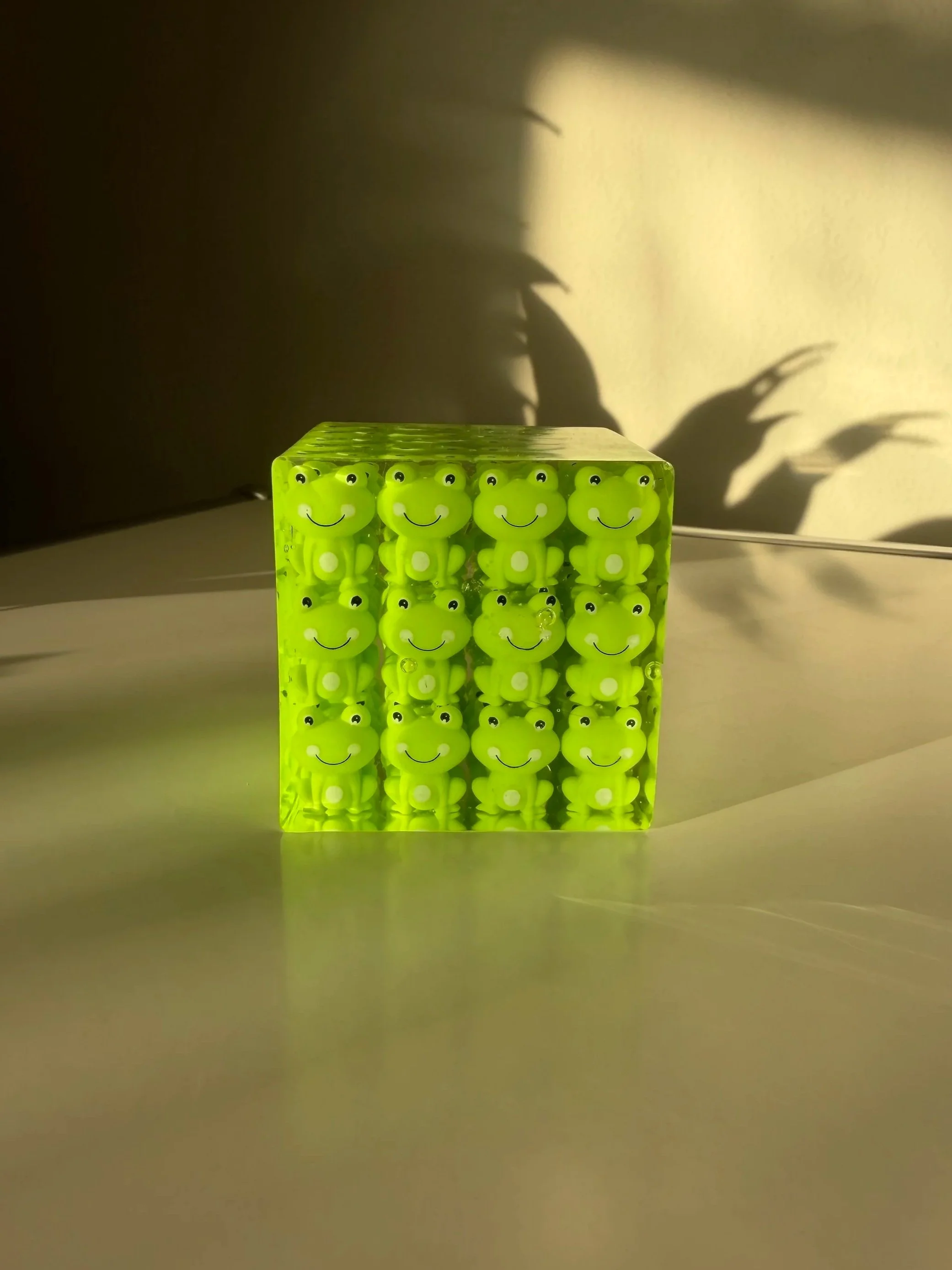 frogcube+2.jpg