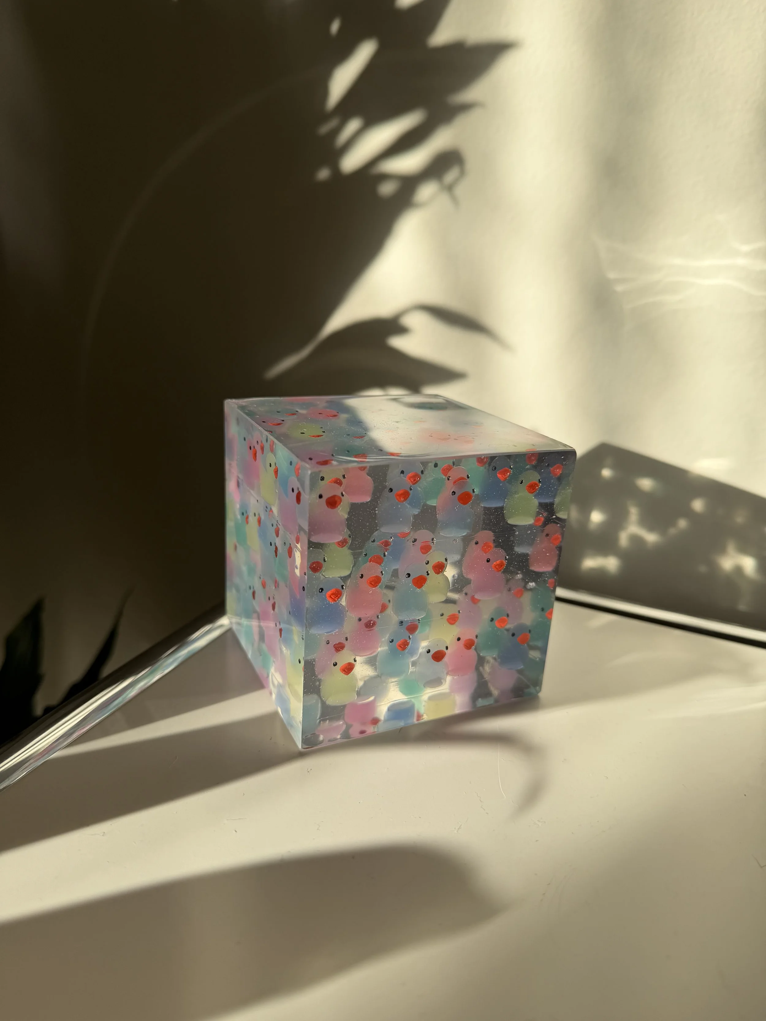 duckcube medpinkgreen 2.jpg