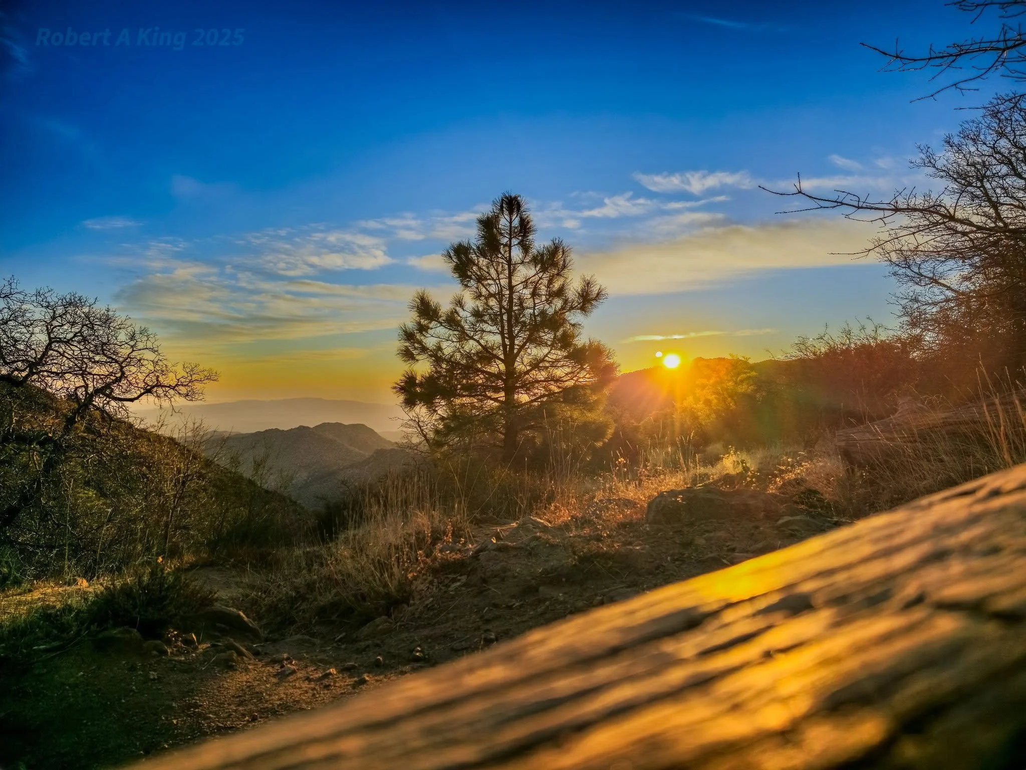 Photo Credit: Robert King