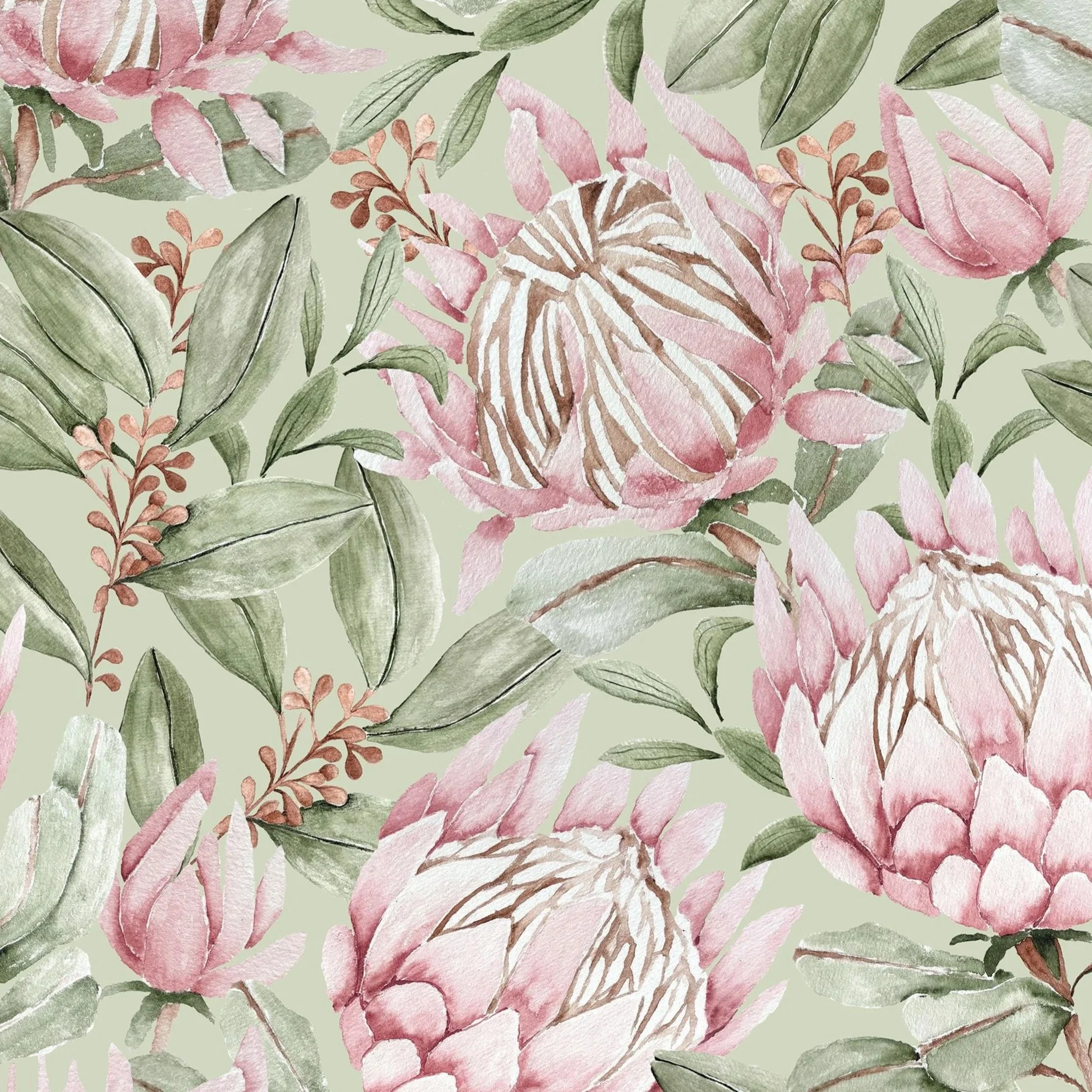 Watercolor painting of protea flowers and eucalyptus leaves on a light green background.