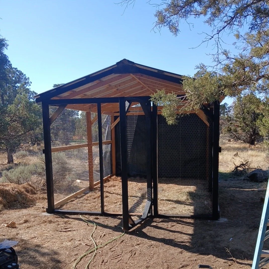 A small wooden and metal structure outdoors under a clear blue sky, surrounded by trees, with an open side and mesh panels.