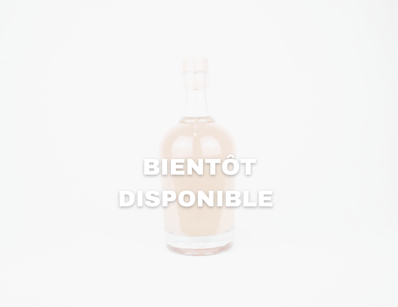BIENT%C3%94T+DISPONIBLE.png