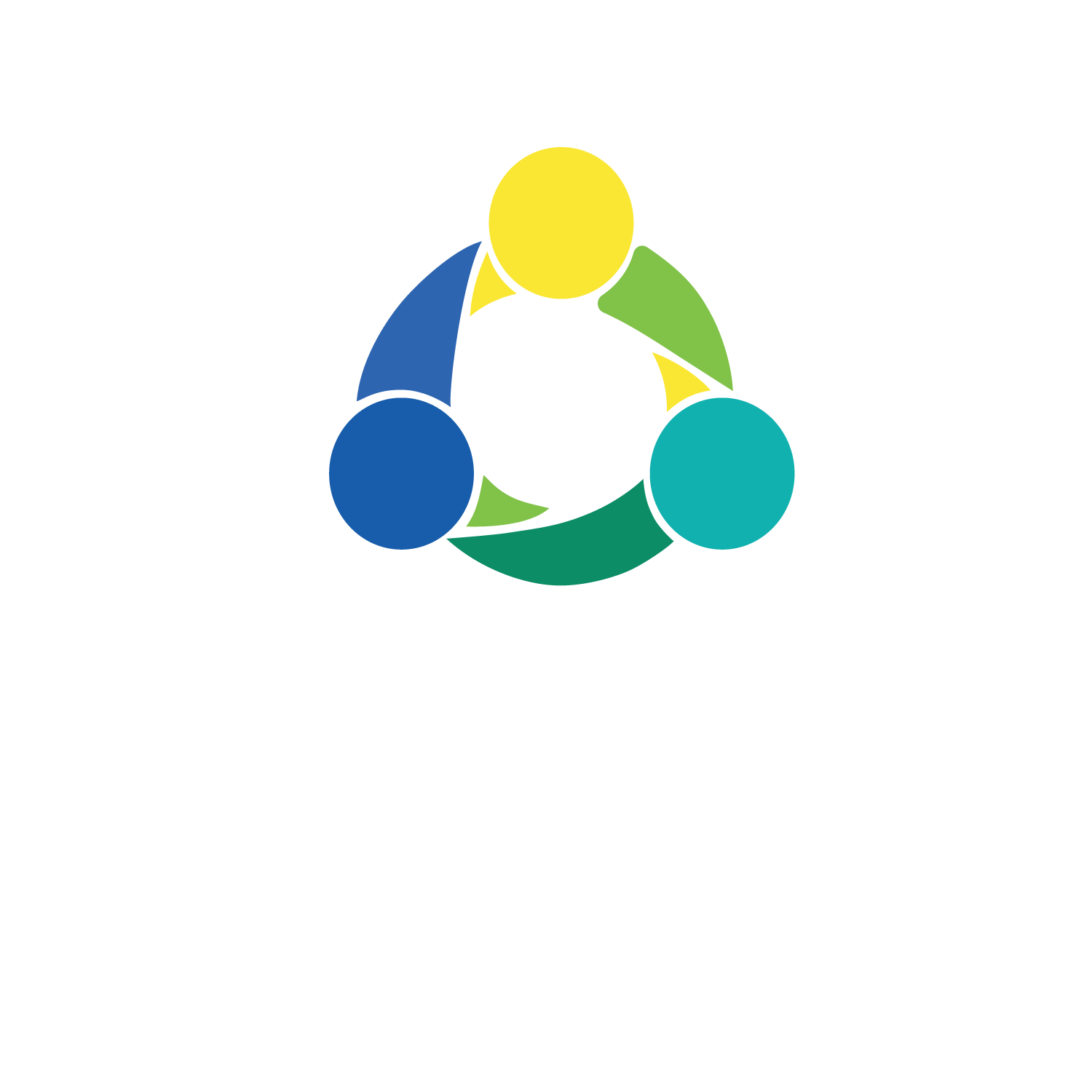 Strategic Collaboartion Partners