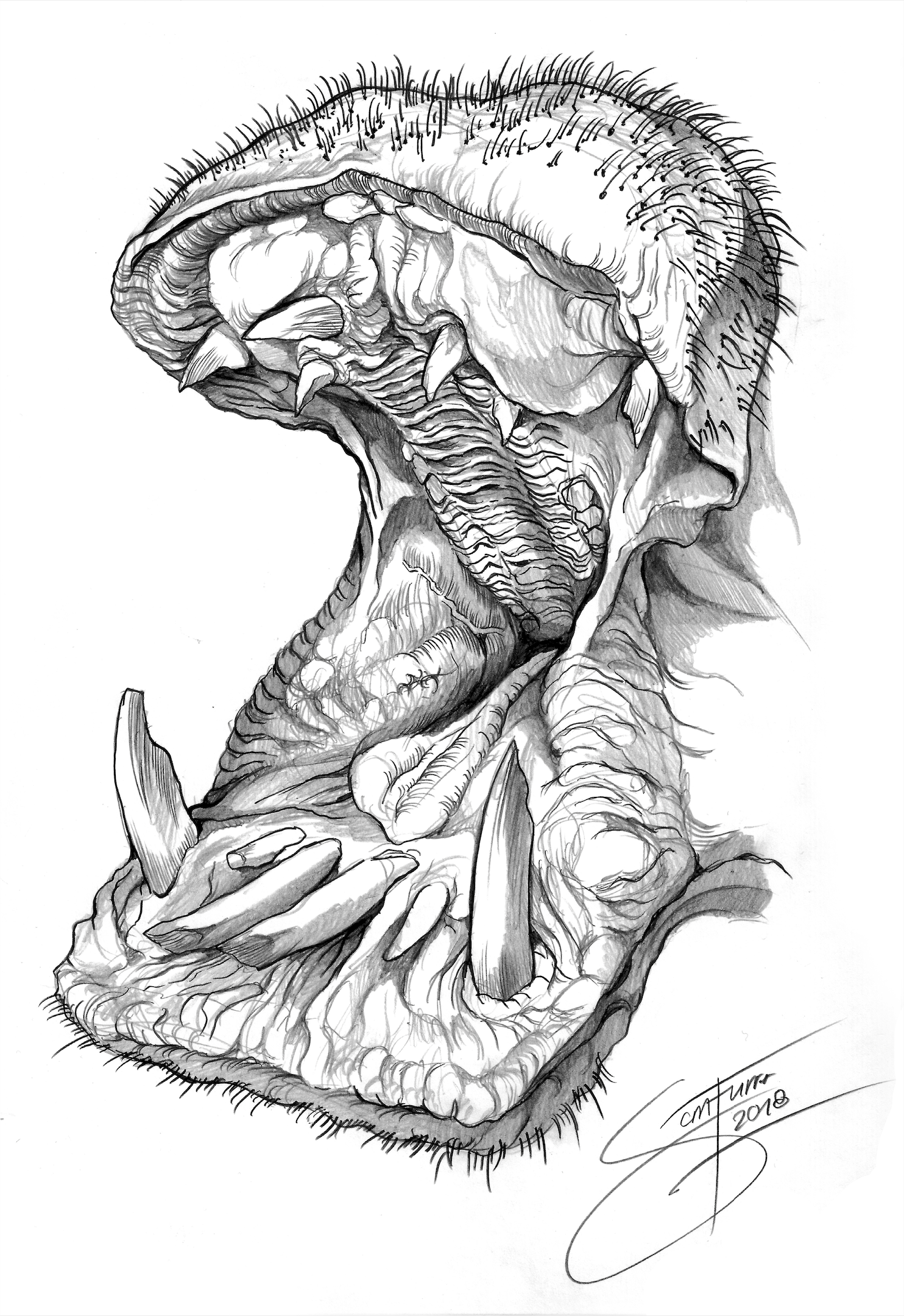 Nilpferd