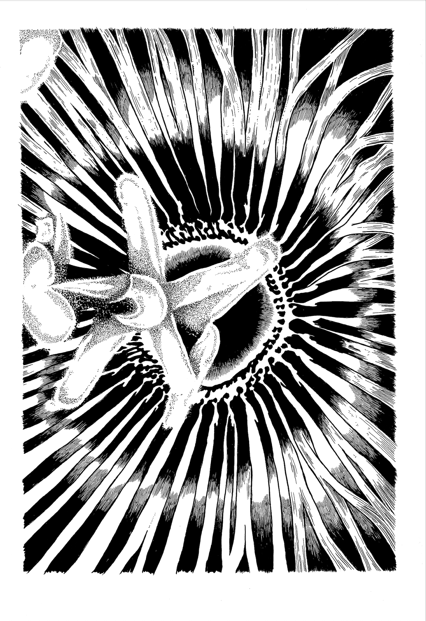 Blüte 1
