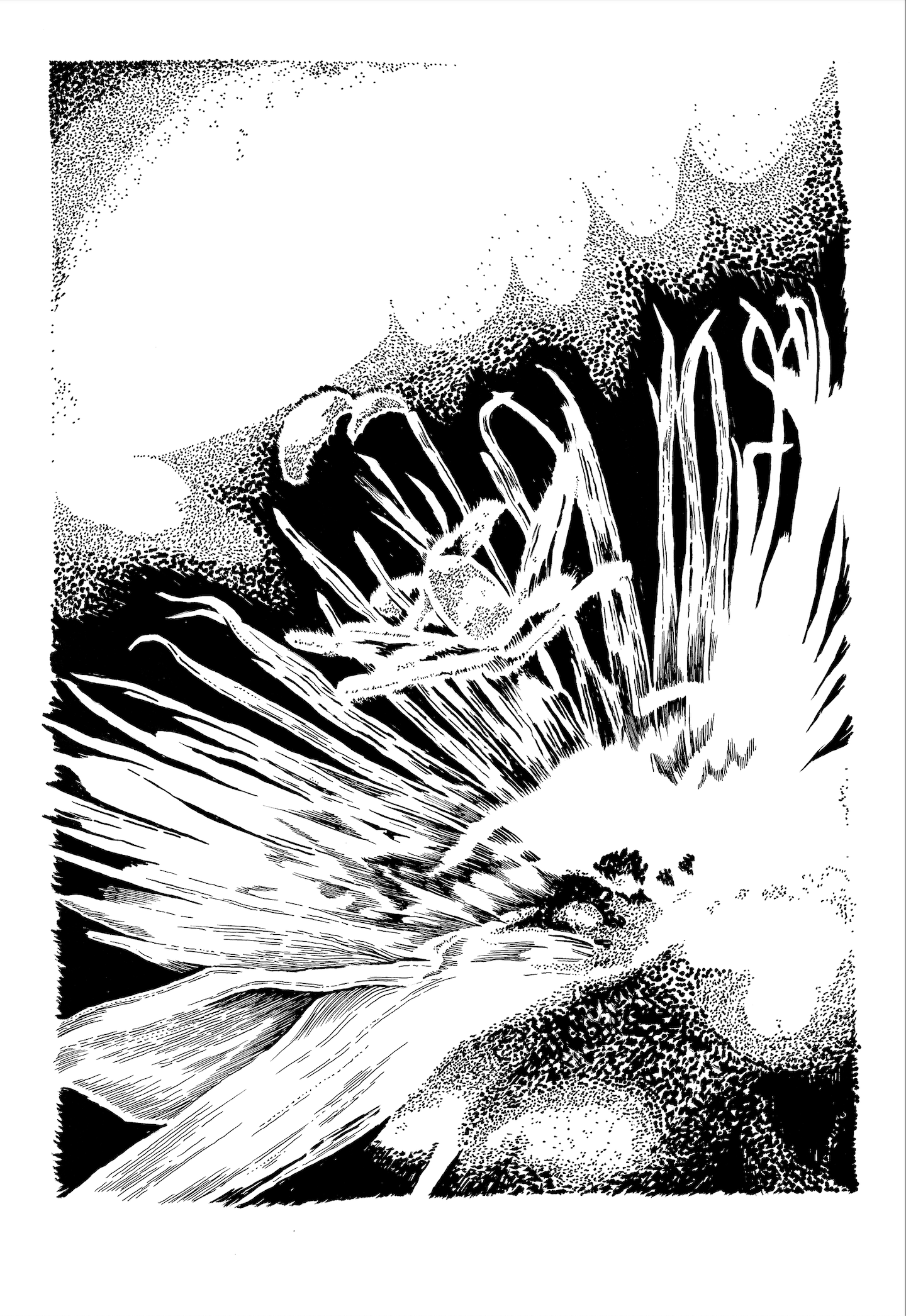 Blüte 2
