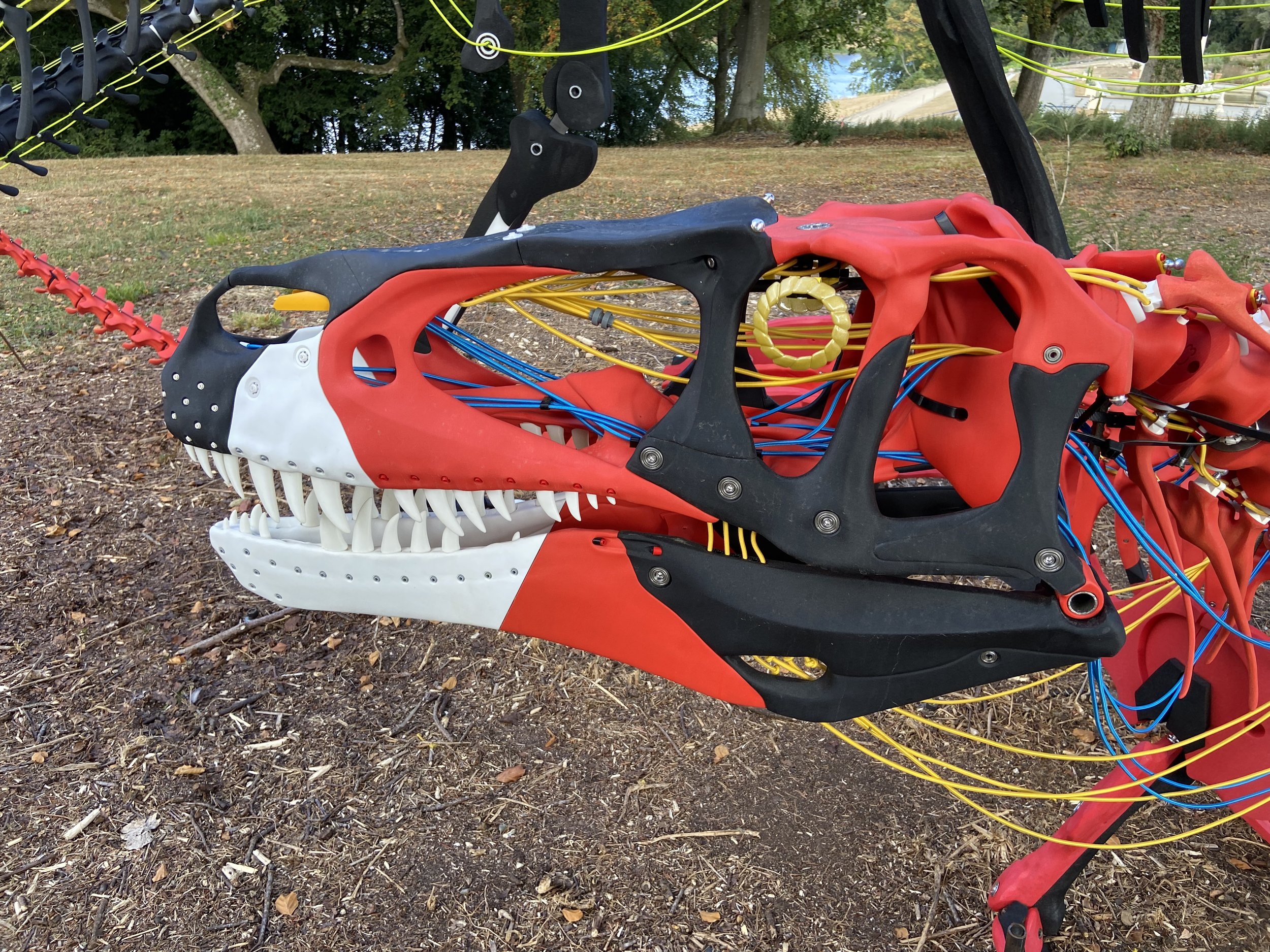 Red Megalosaurus Skull.jpg