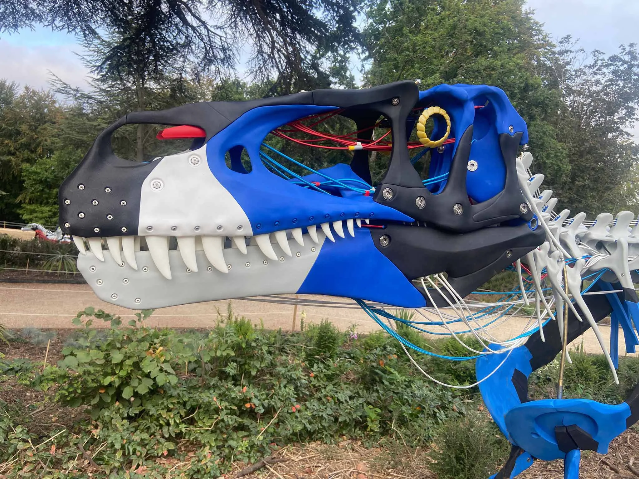 Megalosaurus-blue-skull.jpg