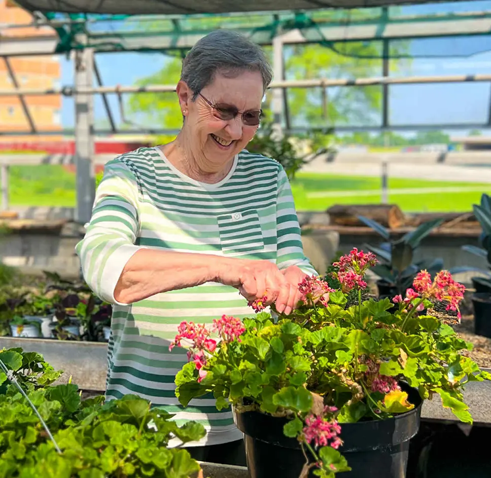 An elderly woman with short gray hair, wearing glasses and a green-and-white striped shirt, is smiling and gardening in a greenhouse, tending to a pot of pink flowering plants.