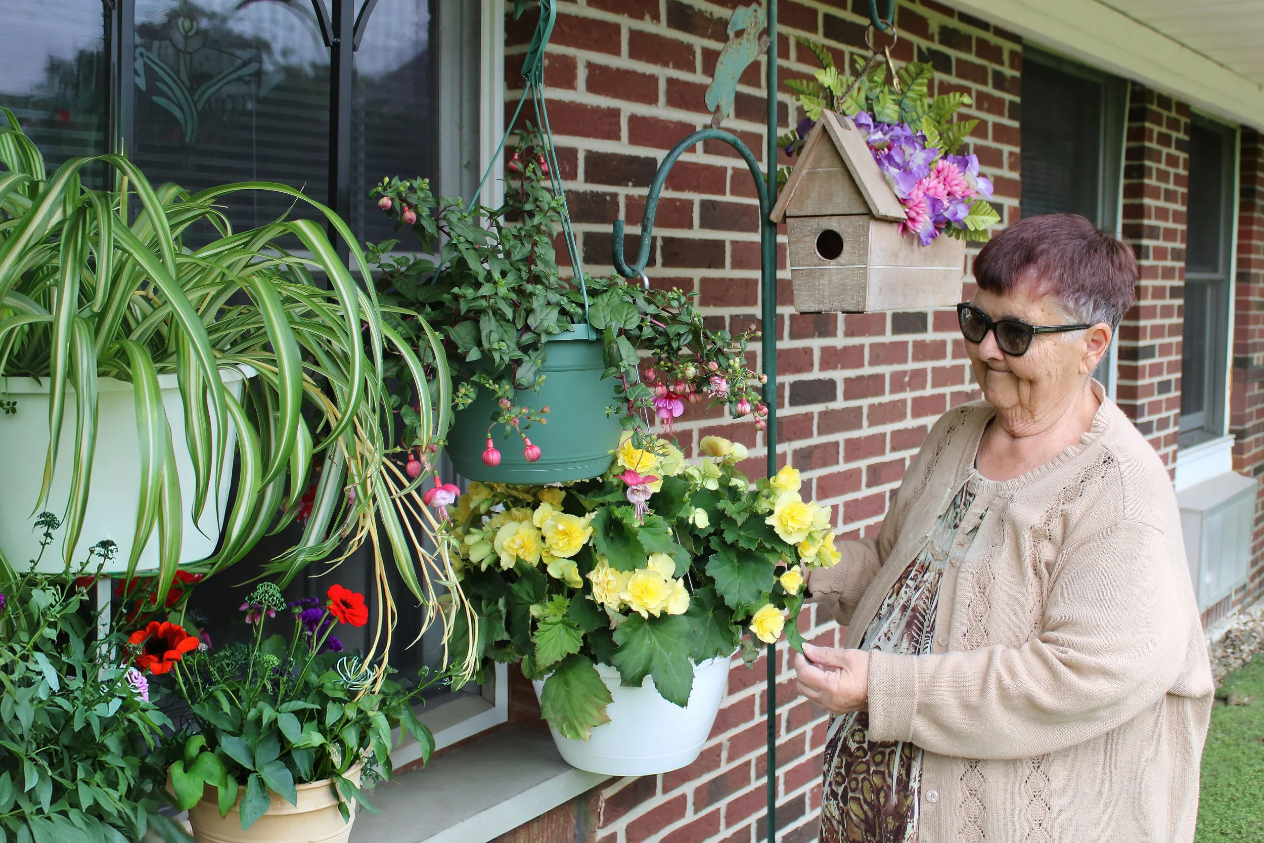 An elderly woman with short gray hair, wearing sunglasses, a tan cardigan, and a patterned dress, stands on a porch near a window, admiring colorful potted flowers and plants mounted on the brick wall.