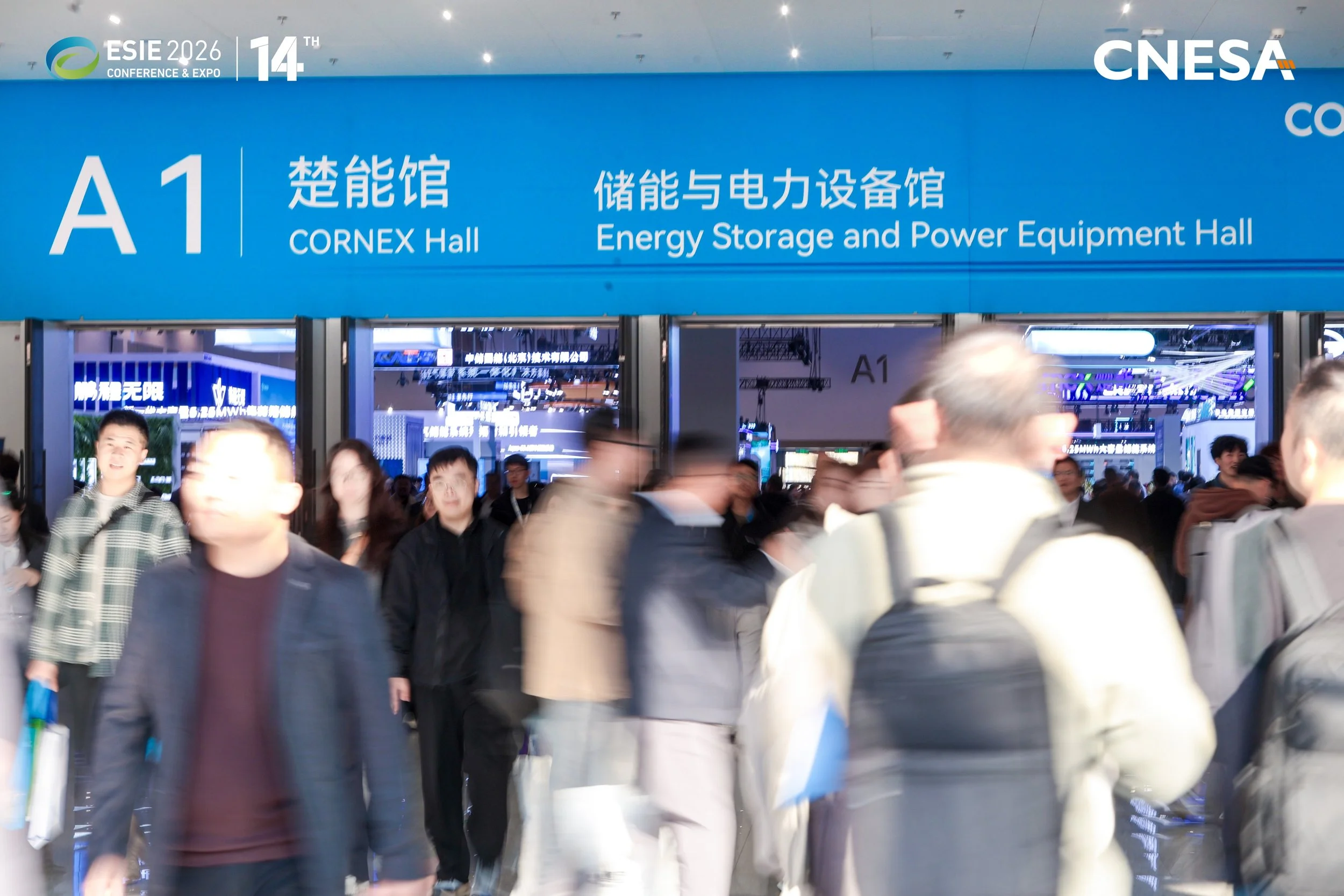 ZHHH8589.jpg
