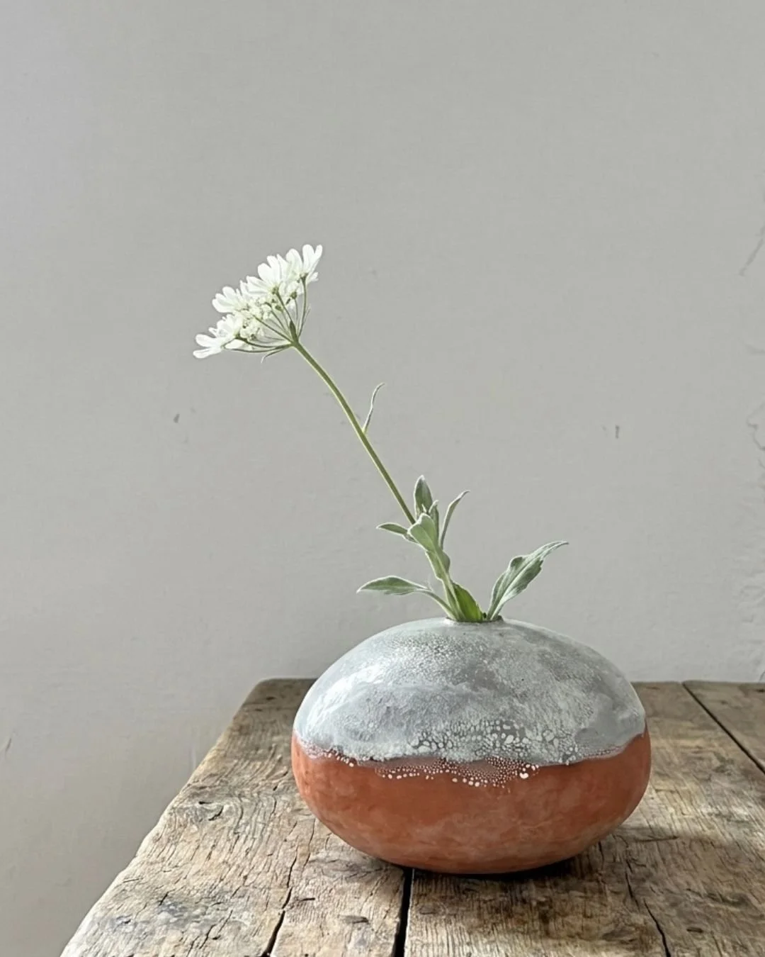 Kleine weiße Blume in einem runden, zweifarbig bemalten Keramikvasen auf einem Holztisch vor grauer Wand.