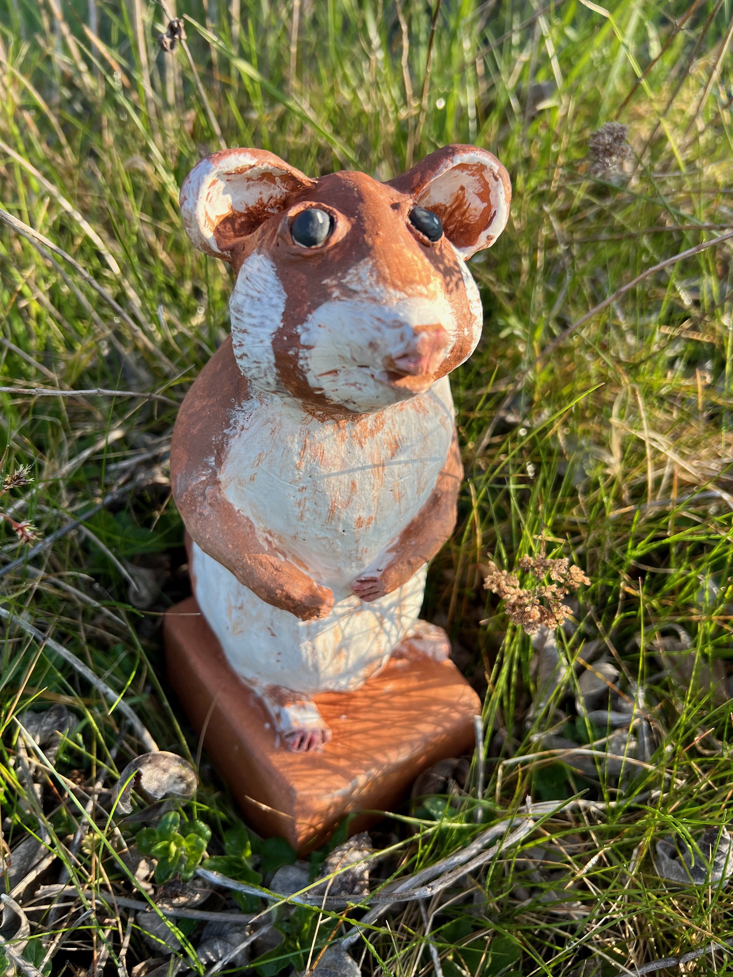 Kleine Schleichkatze oder Figur auf nassem, grünem Gras im Freien, gefilmt bei Sonnenlicht.