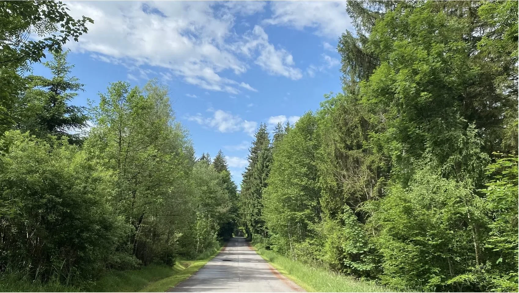 Eine kleine Straße, umgeben von dichten grünen Bäumen und Büschen, bei sonnigem Himmel mit wenigen Wolken.