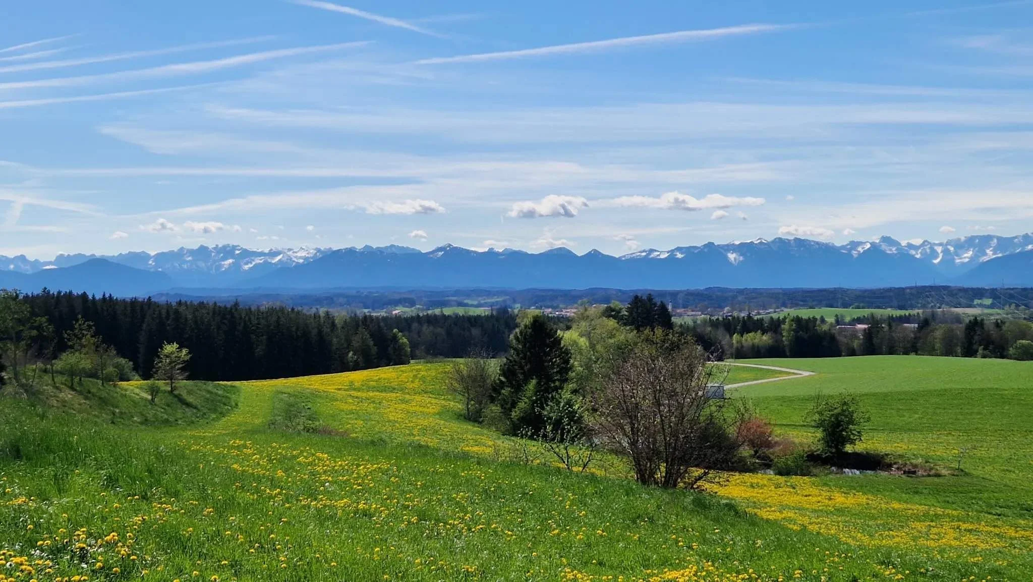 Berglandschaft mit grünen Wiesen und Bäumen, im Hintergrund Alpen mit schneebedeckten Gipfeln, unter blauem Himmel mit einigen Wolken.
