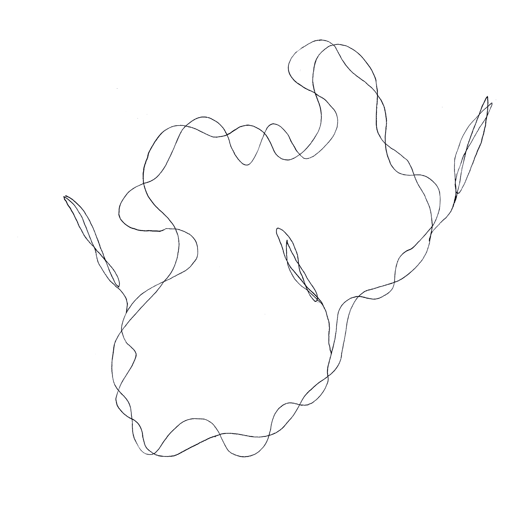 Illustrazione a fil di ferro di un elemento astratto naturale e avvolgente da cui crescono alcune foglie, anch'esse astratte.