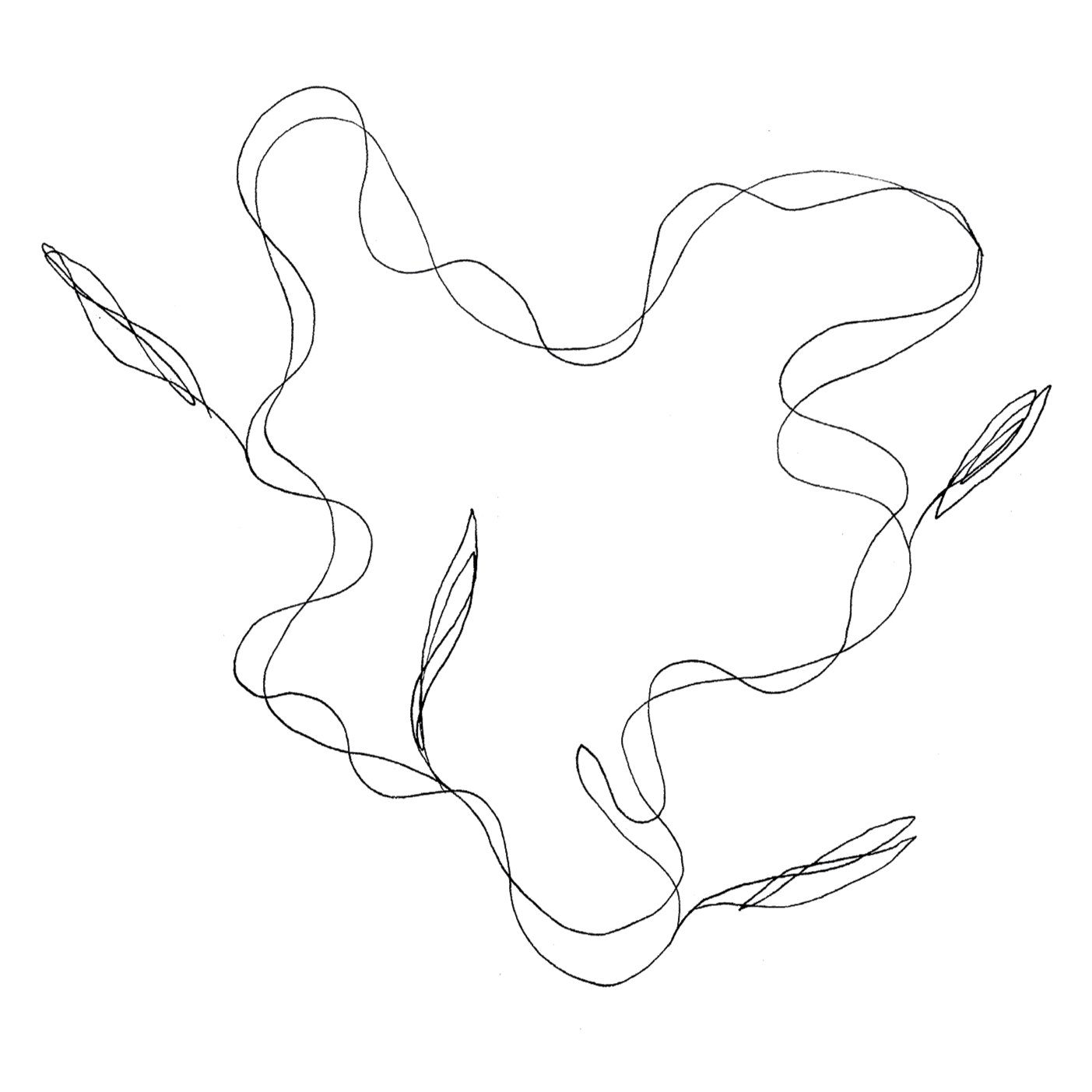Illustrazione a fil di ferro di un elemento astratto naturale e avvolgente da cui crescono alcune foglie, anch'esse astratte.