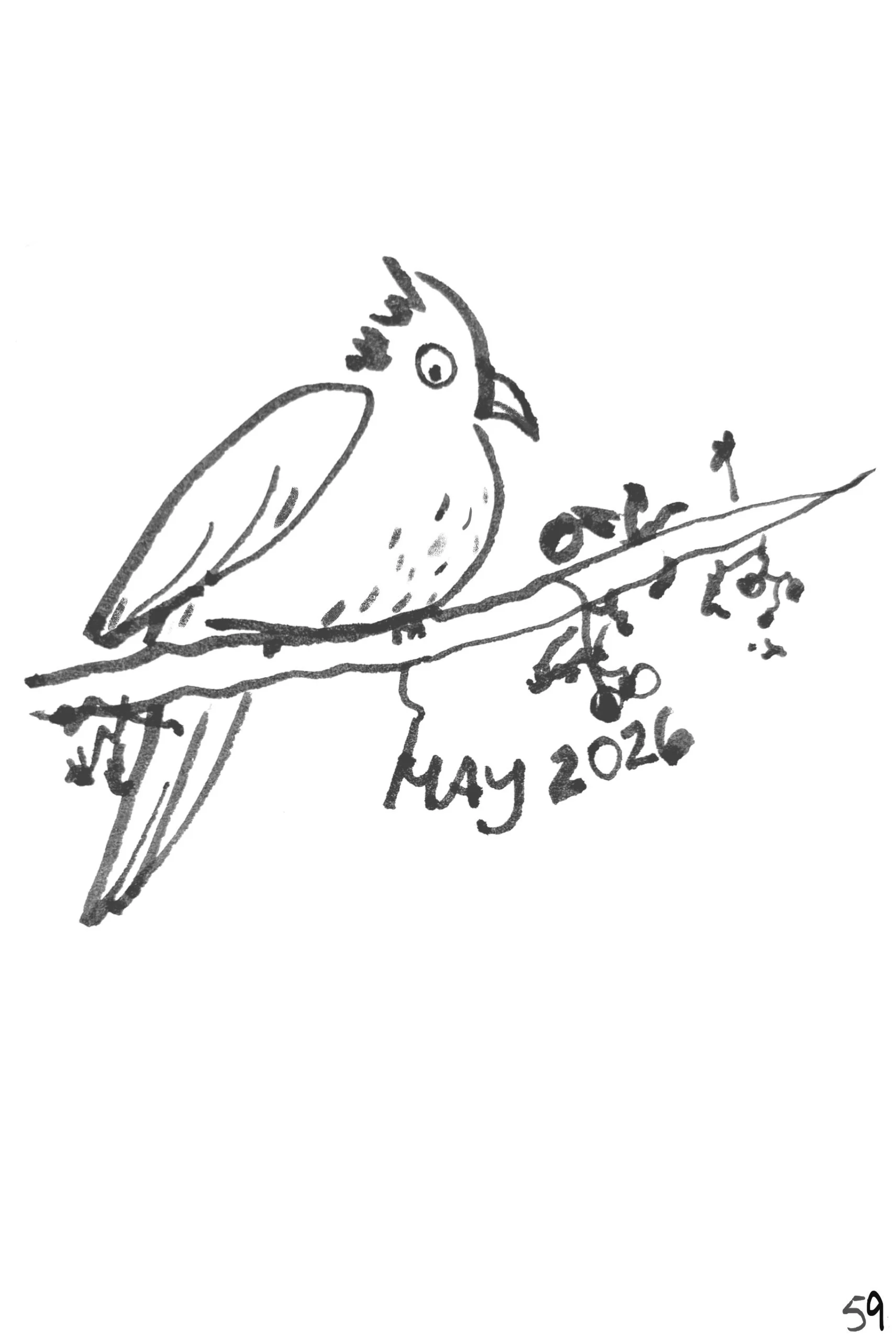 May 2026