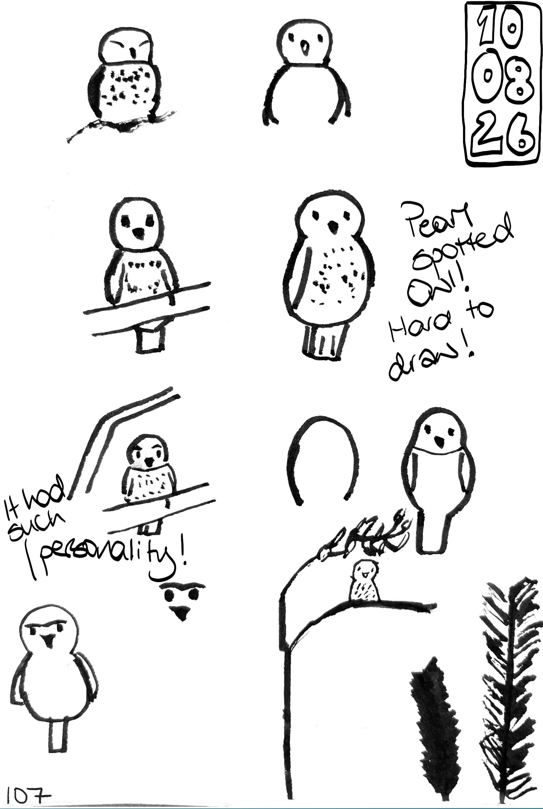 107_LFAUF26.jpg