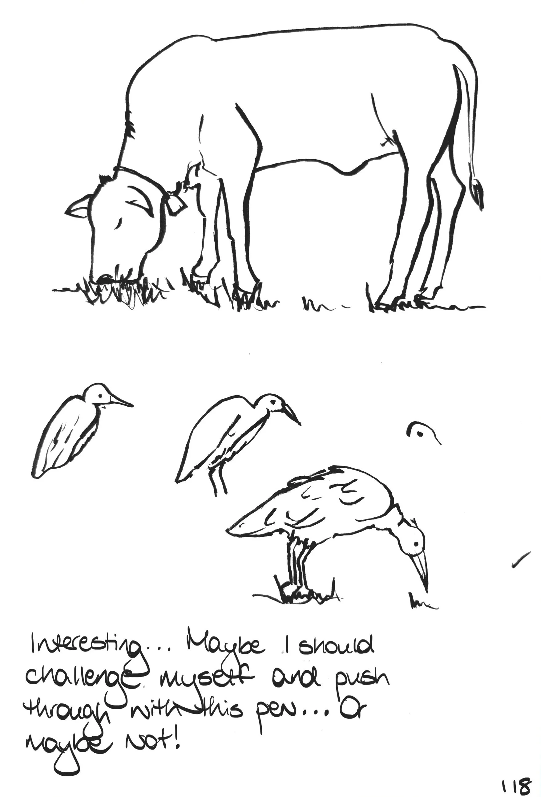 118_LFAUG26.jpg