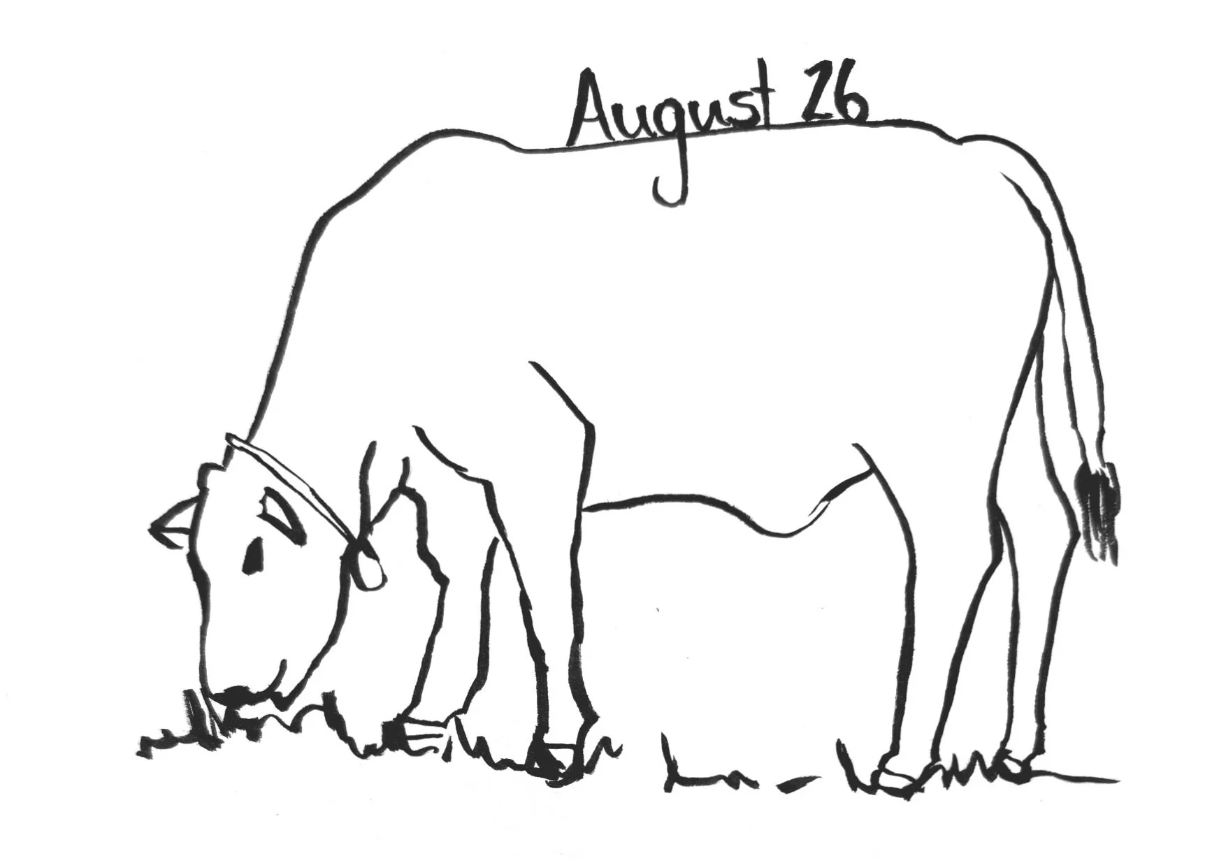 August 2026