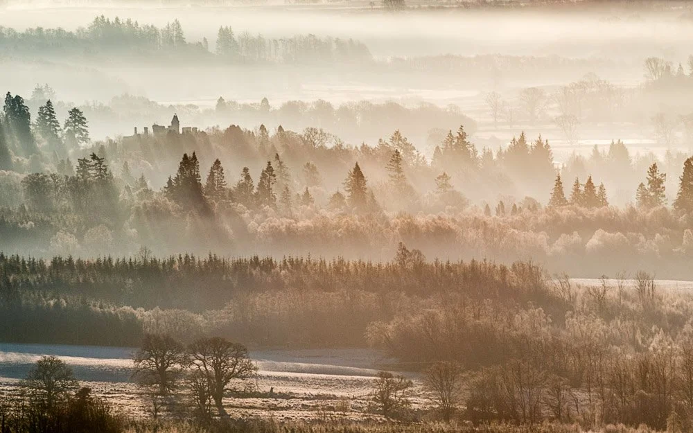 Buchanan Castle in MIsts.jpg.jpg