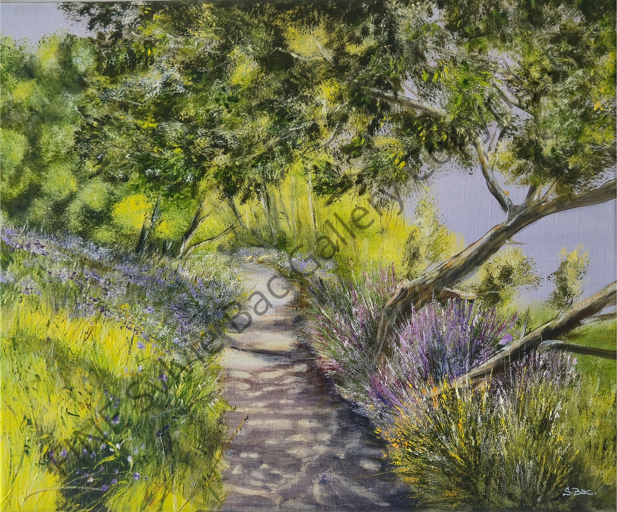 FINE Sylvie Bac Gallery Copyright 05.png