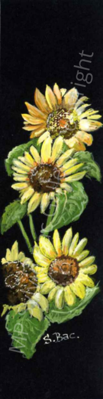 MP Sylvie Bac Gallery Copyright 09.png
