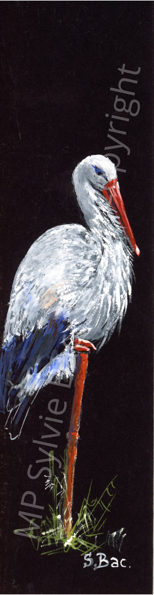 MP Sylvie Bac Gallery Copyright 14.png