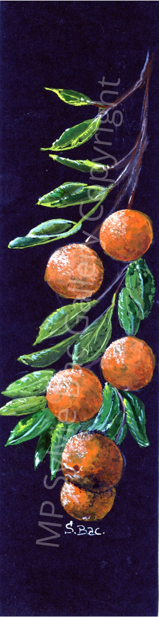 MP Sylvie Bac Gallery Copyright 19.png