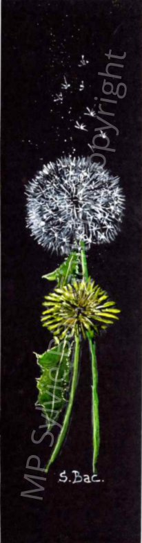 MP Sylvie Bac Gallery Copyright 18.png