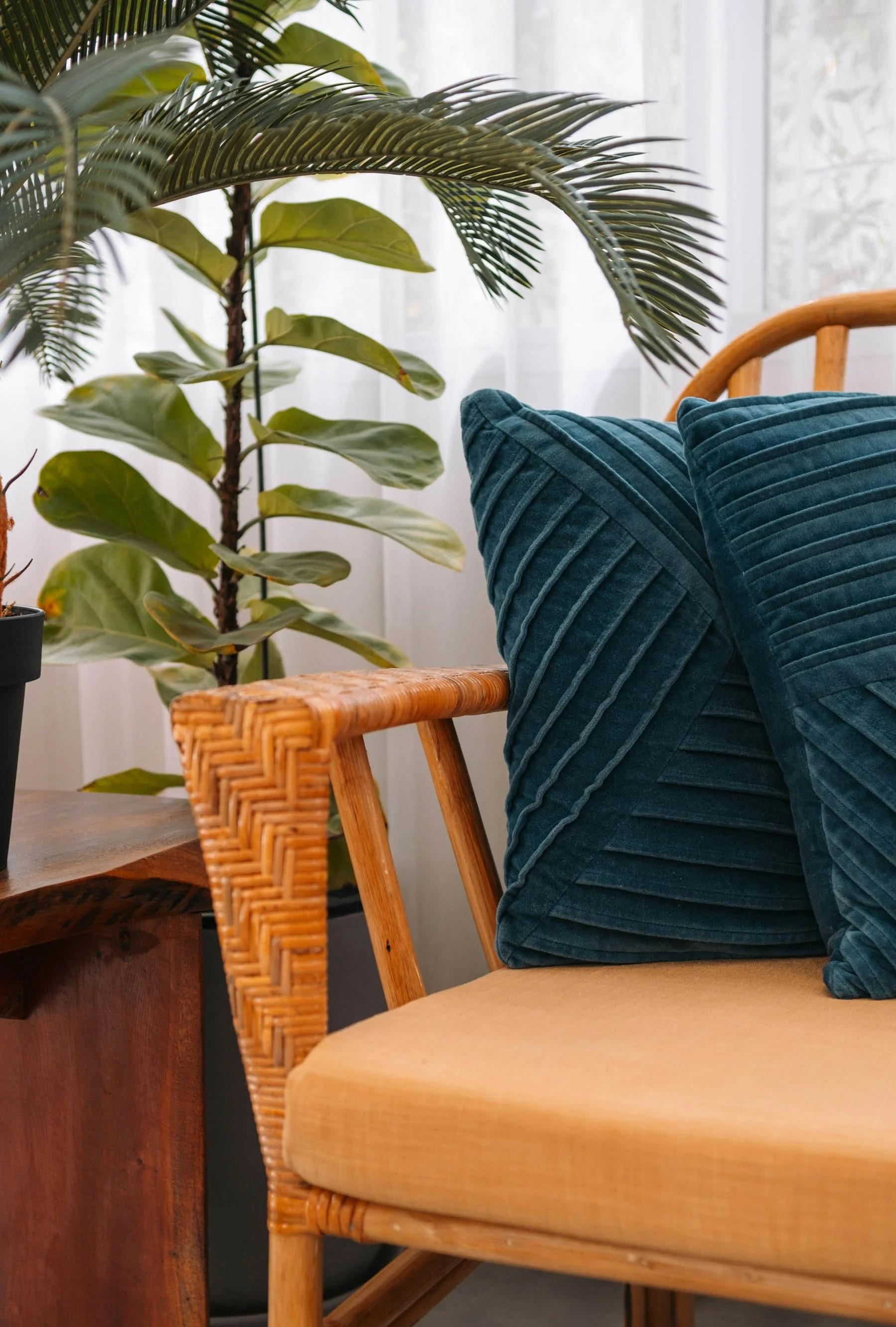 Interior of a cozy room with wicker chairs, blue cushions, and green houseplants near a window with white curtains.