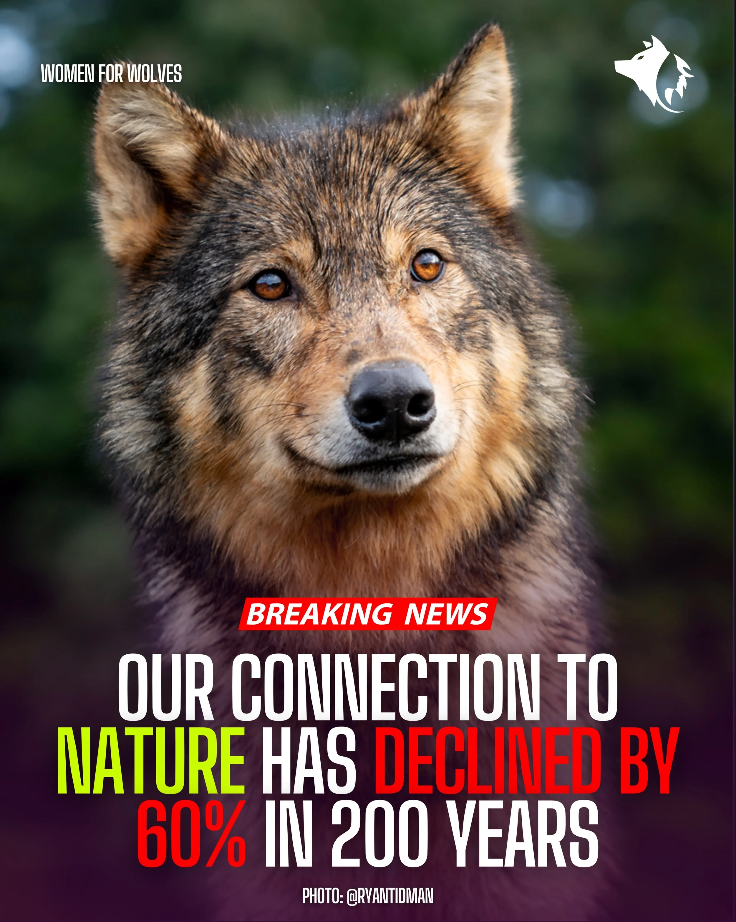 Women for Wolves campaign by Elsewhere — wolf population awareness graphic