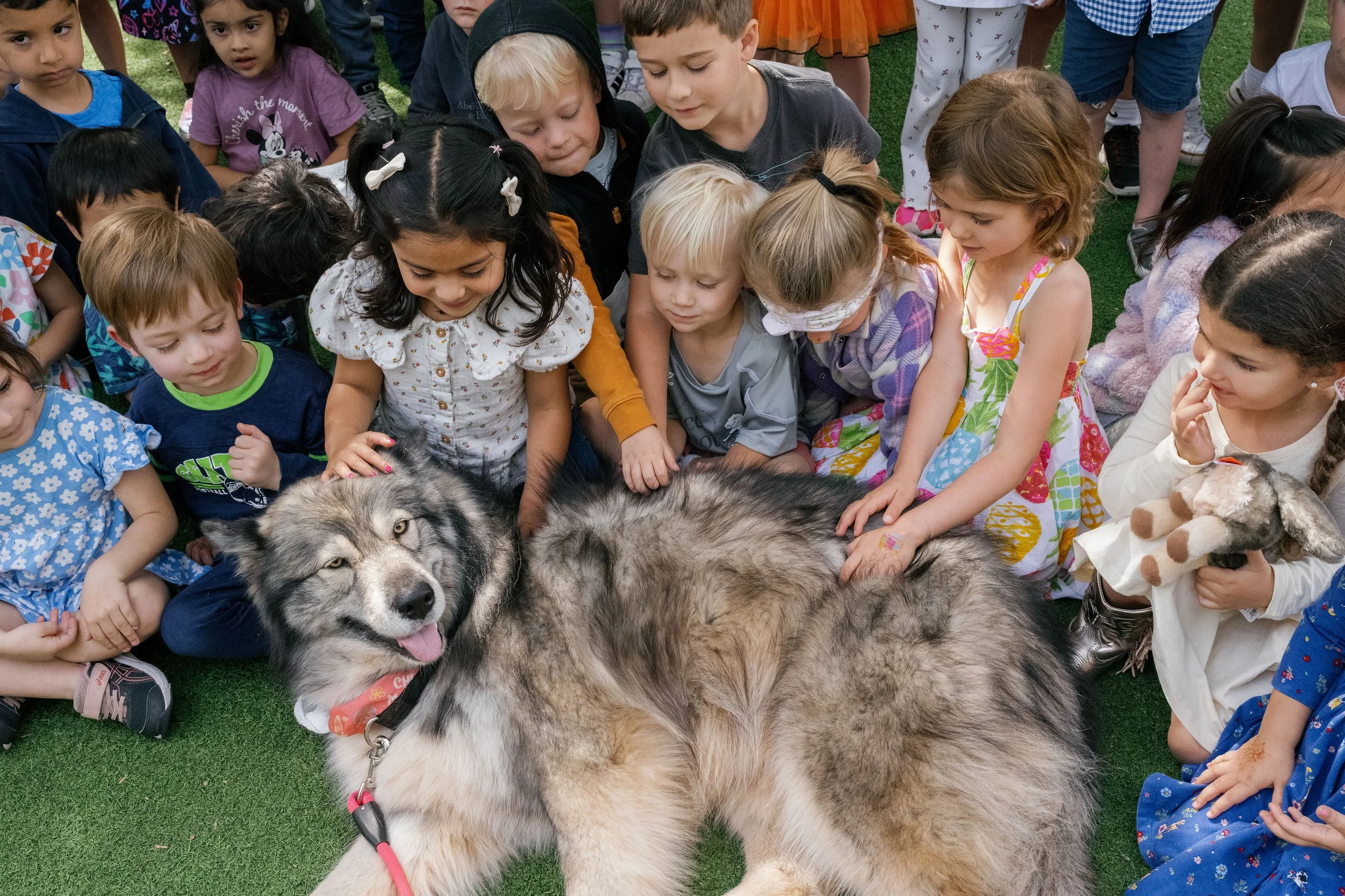 W4W.GBMontessori.DeniseApgarPhoto-134.jpg