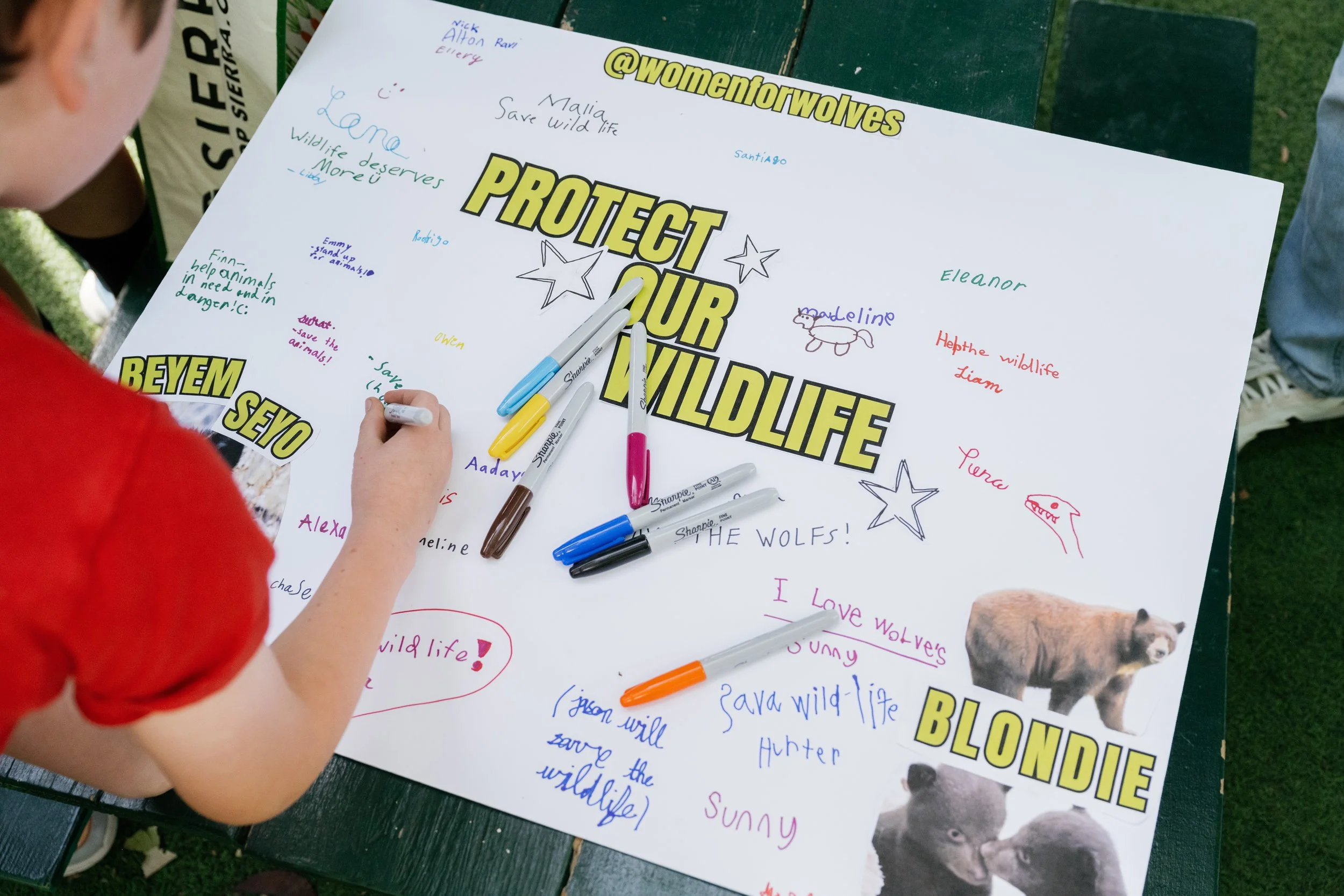 Women for Wolves event — child writing on a conservation pledge poster