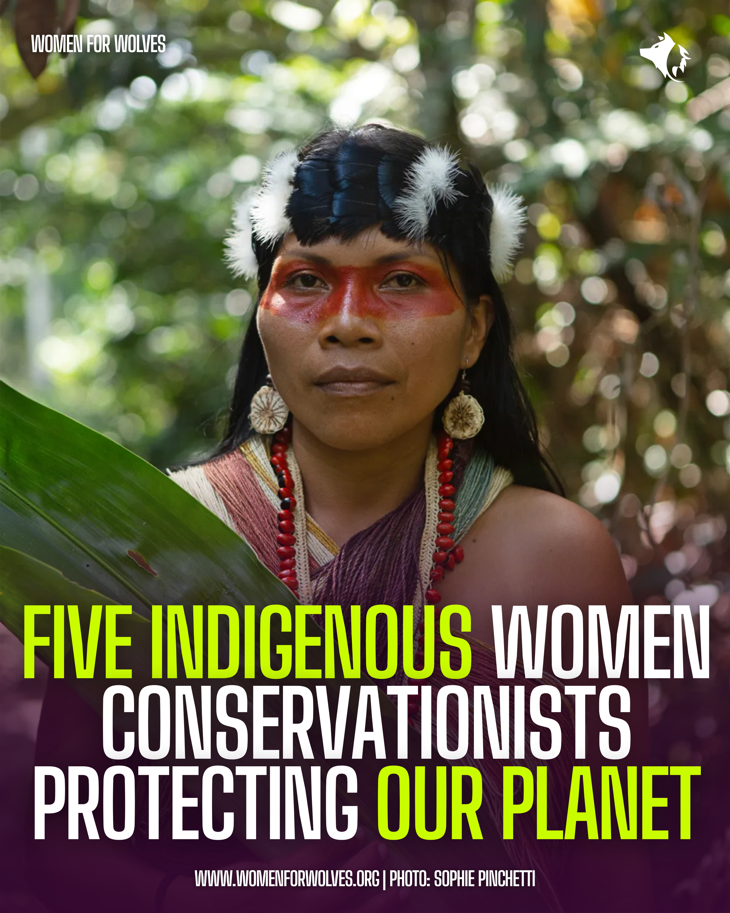 Women for Wolves campaign by Elsewhere — indigenous women conservationists feature
