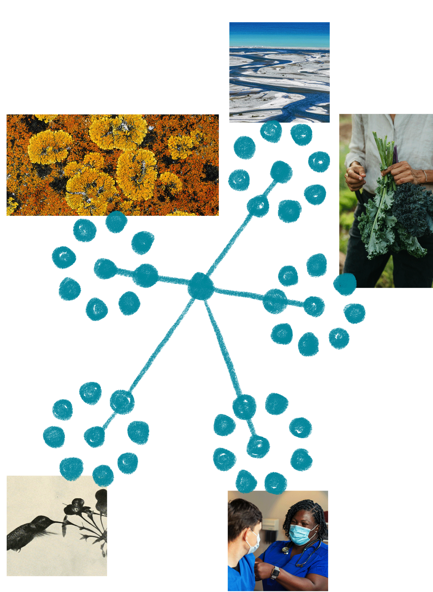 A collage that includes a photograph of a river meandering through snowy terrain, a close-up of orange, yellow, and black lichen on tree bark, and a photograph of two healthcare professionals wearing blue scrubs and face masks, engaging in a conversation.