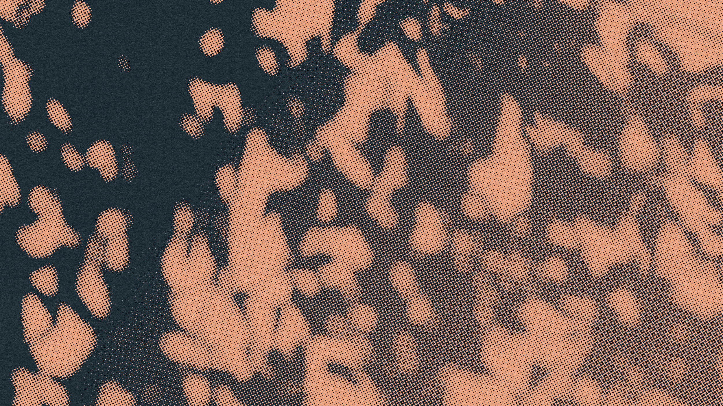 2026_06_06_encommon_homepage_video_still.png
