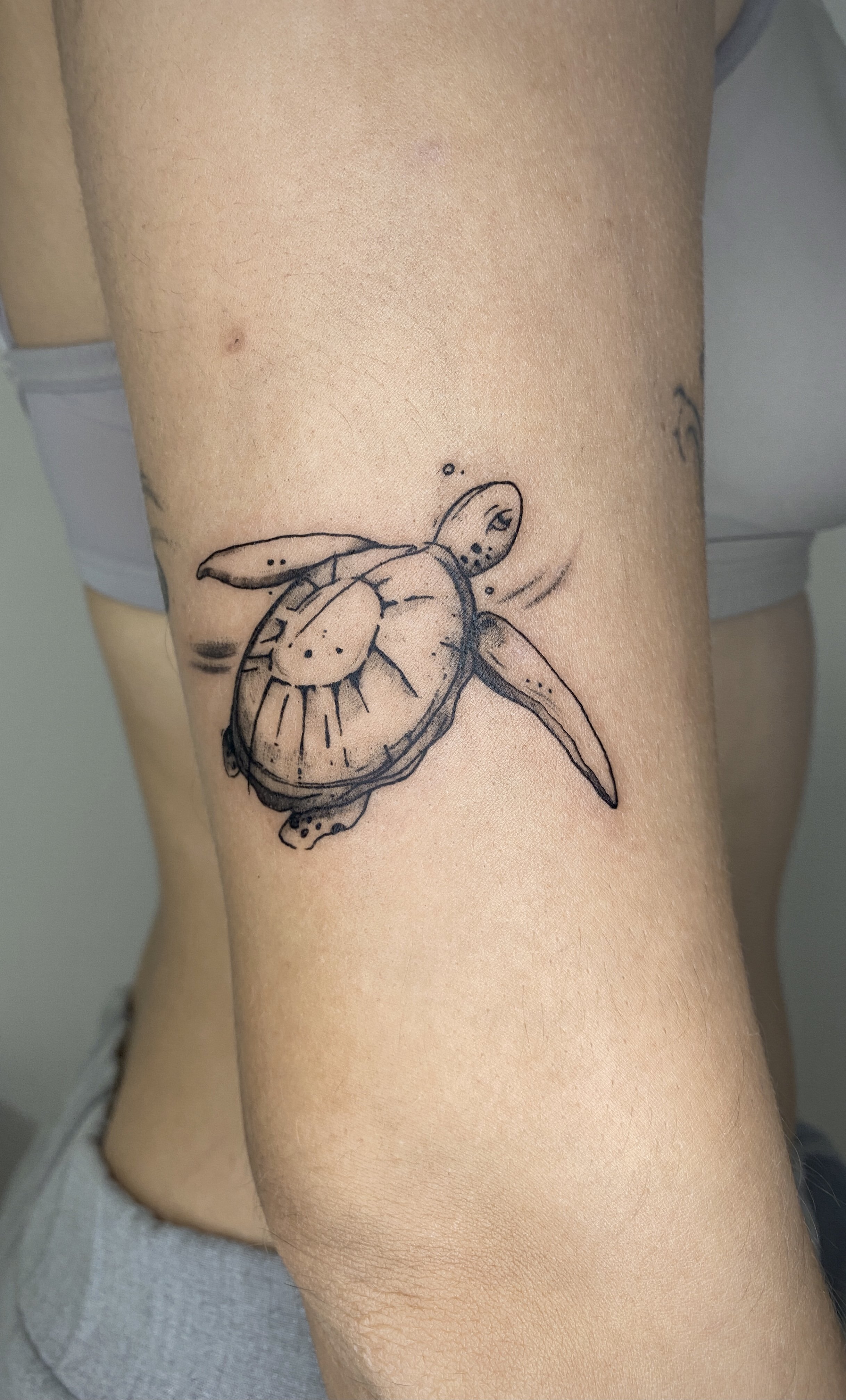 Tatouage d'une tortue avec une carapace stylisée et des détails en ligne noire sur la peau.