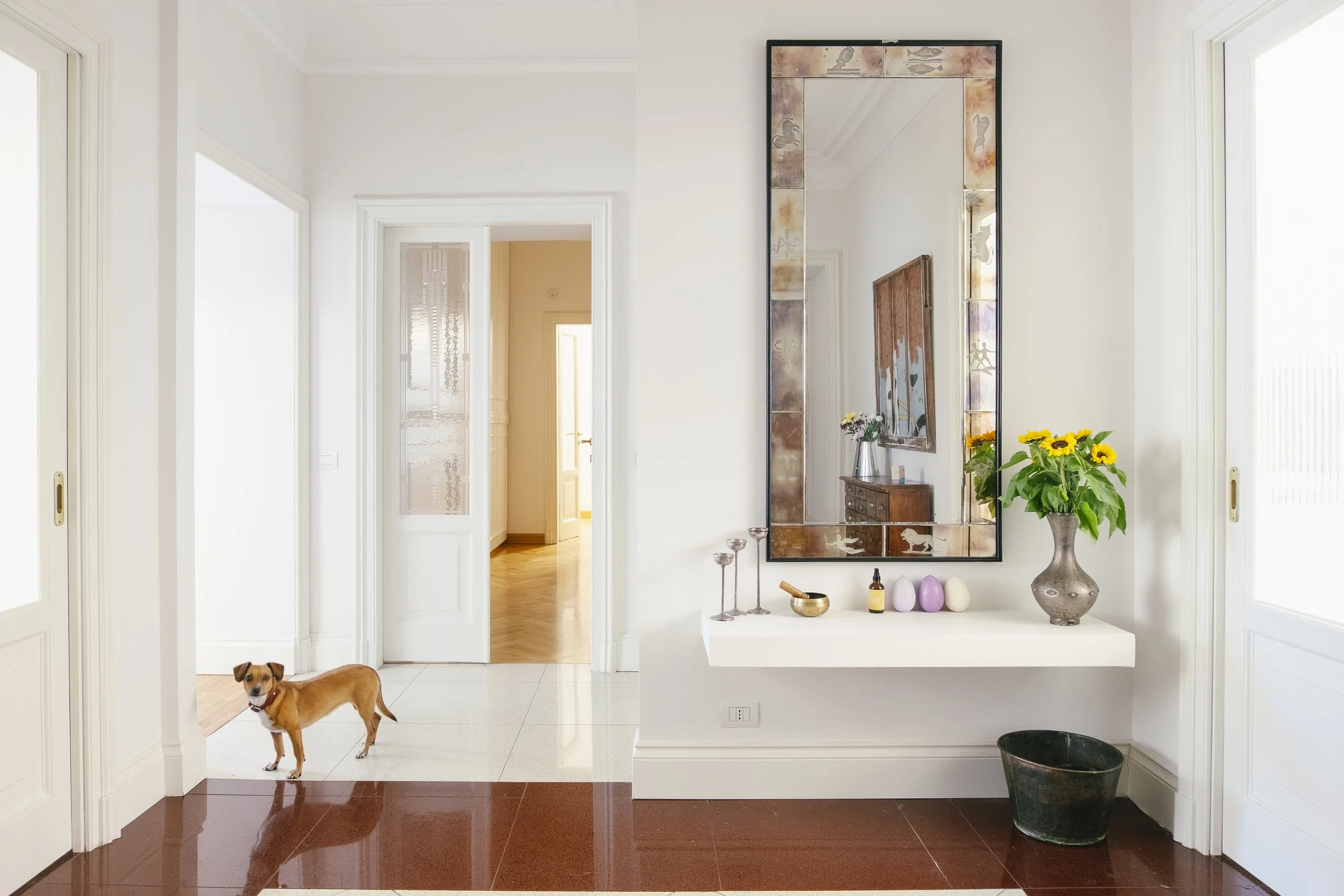 Interno di una casa con pareti bianche, grande specchio decorativo e vaso con fiori, il pavimento in piastrelle rosse e un cane di piccola taglia con orecchie rilassate.