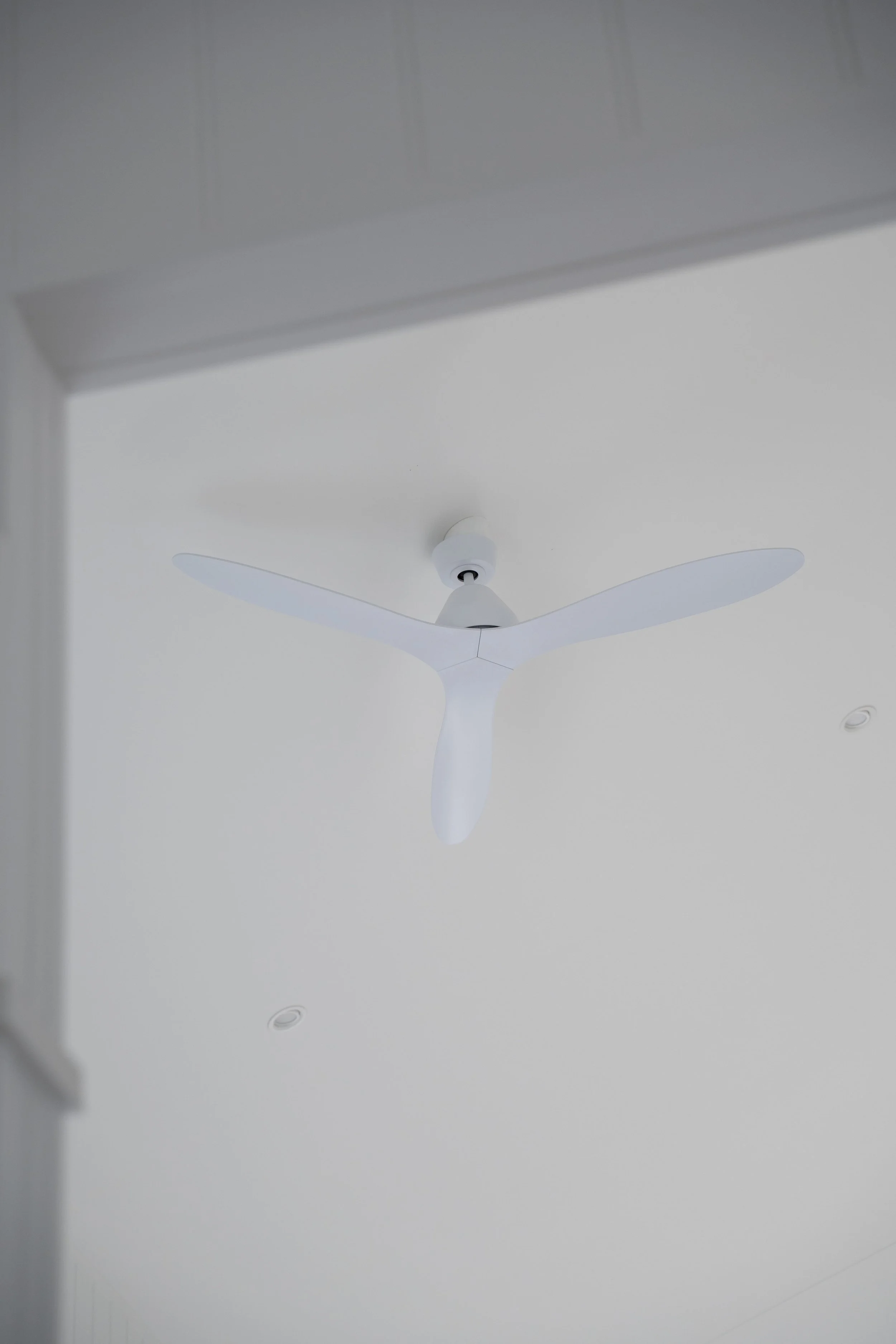 top canberra builder