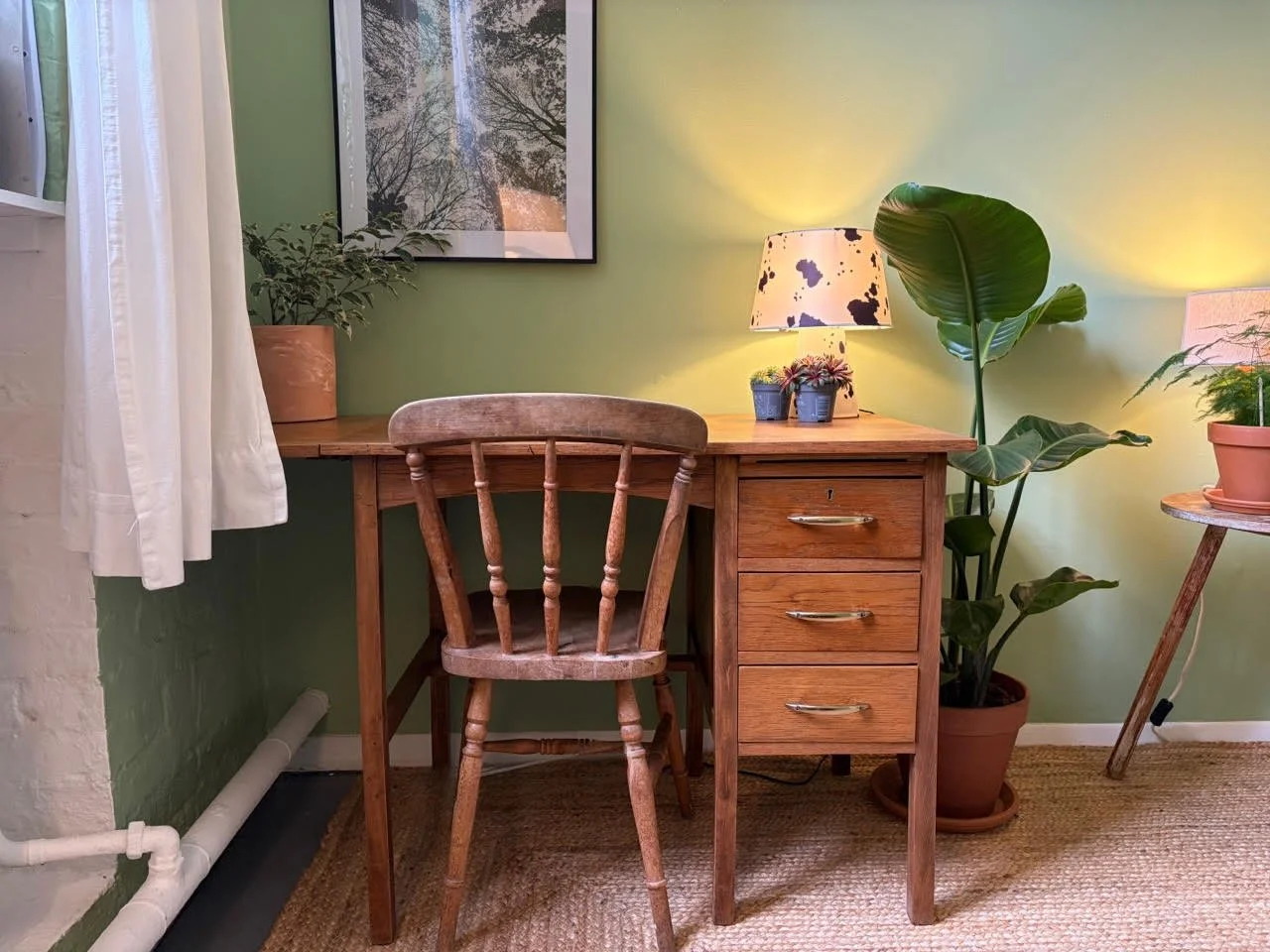 A cozy studio office setup with a wooden desk, matching wooden chair, potted plants, and table lamps on a green wall background.