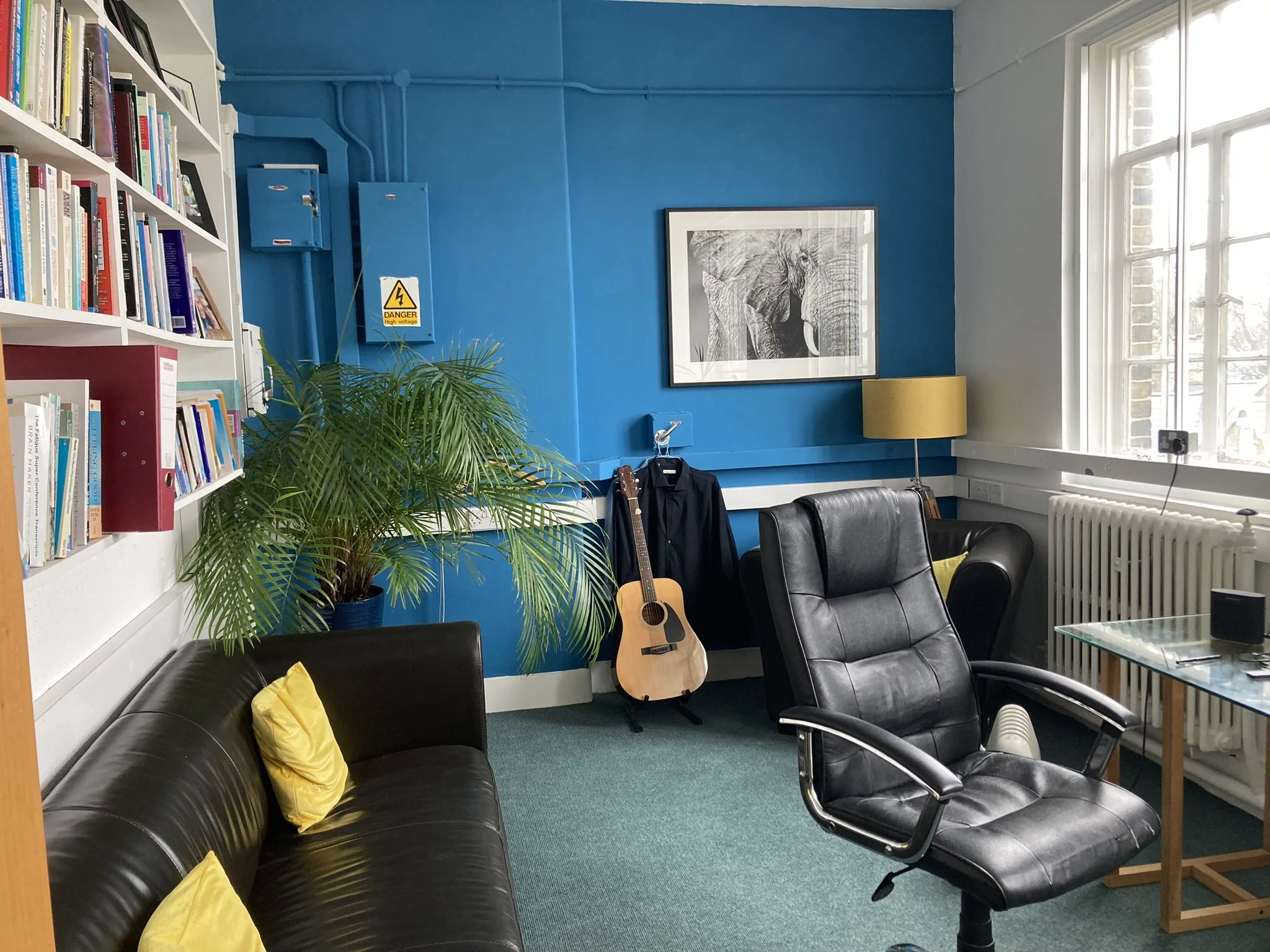 A cozy room with a black leather sofa and chairs, a guitar, a tall yellow lamp, a blue wall with framed elephant artwork, a white bookshelf filled with books, a potted plant, and a large window allowing natural light, with a radiator below and a small glass table.