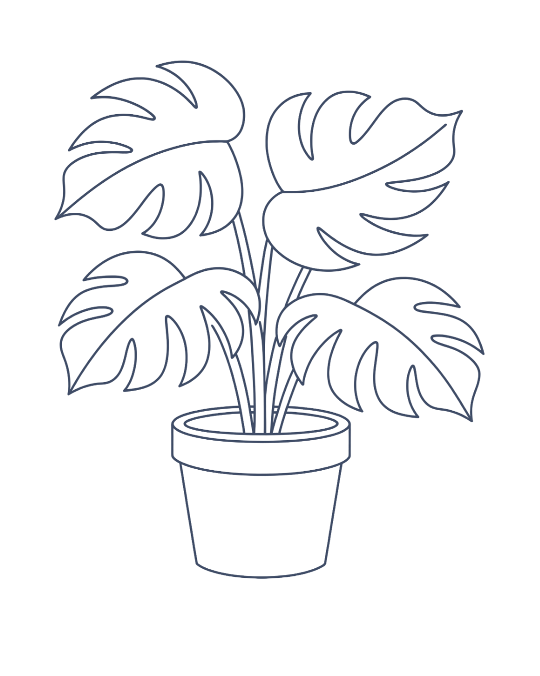 Outline drawing of a potted monstera plant with large, split leaves.