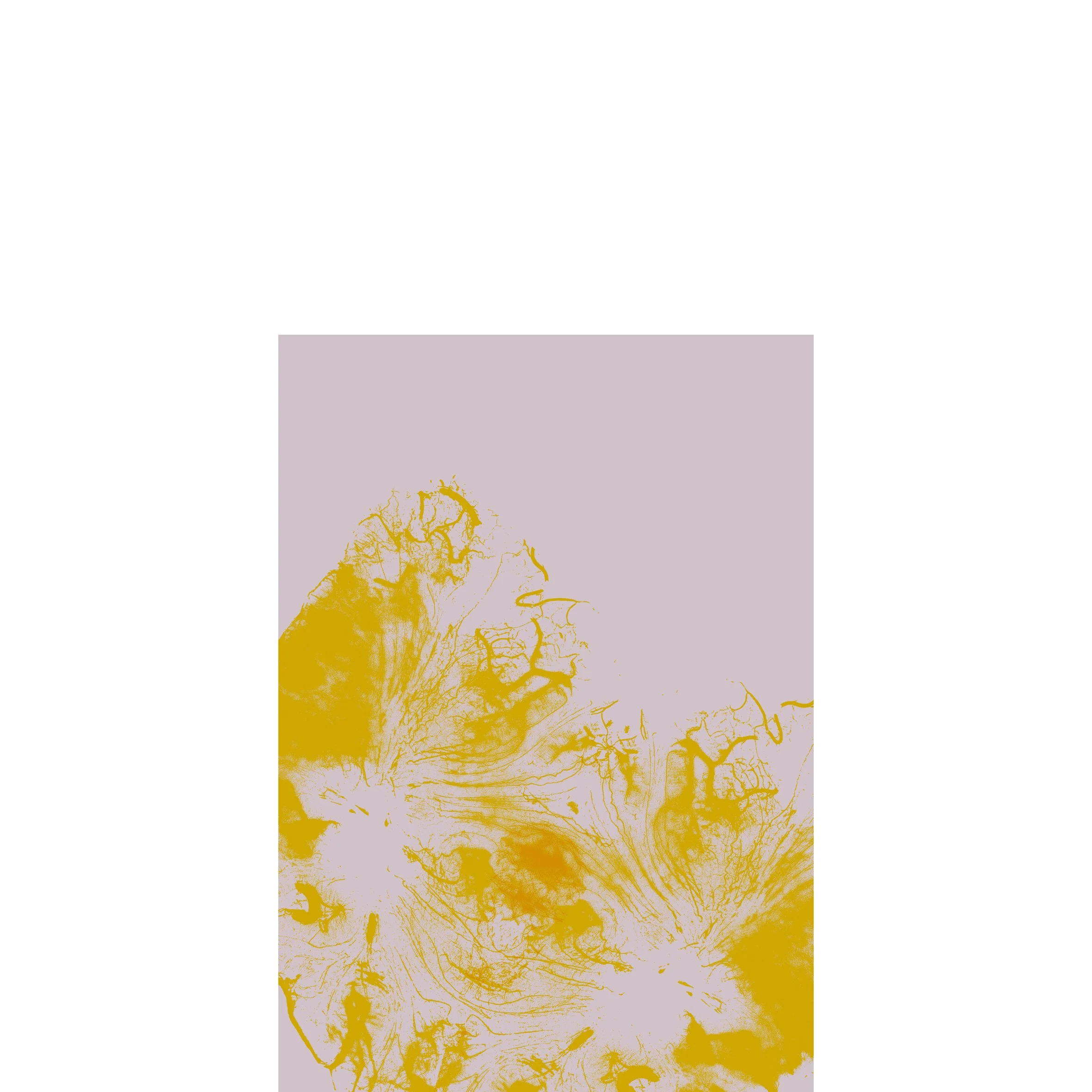 sg90 print