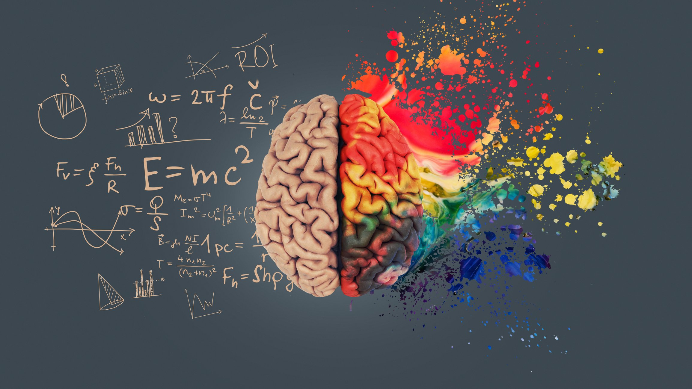 Sustainability should get more irrational