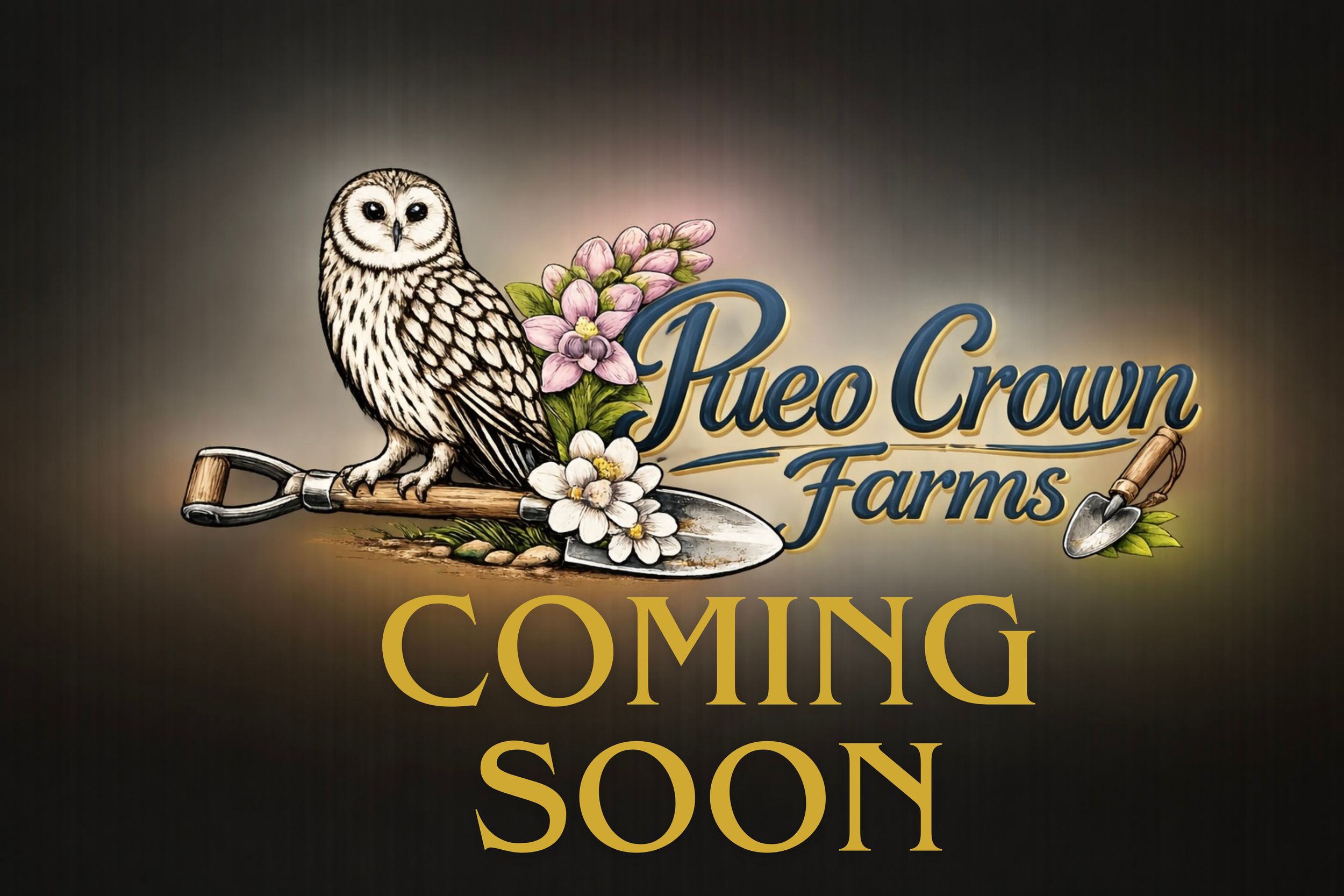 MORE COMING SOON!