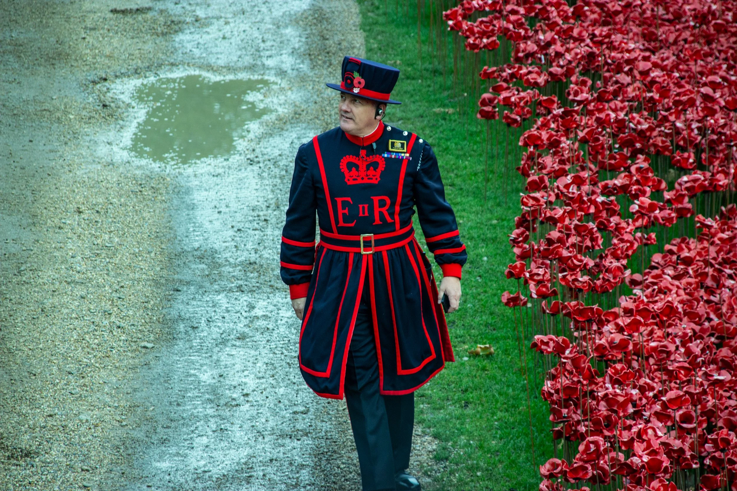 A man dressed in traditional Scottish attire with a dark blue hat adorned with a poppy, walking beside a row of red poppies.