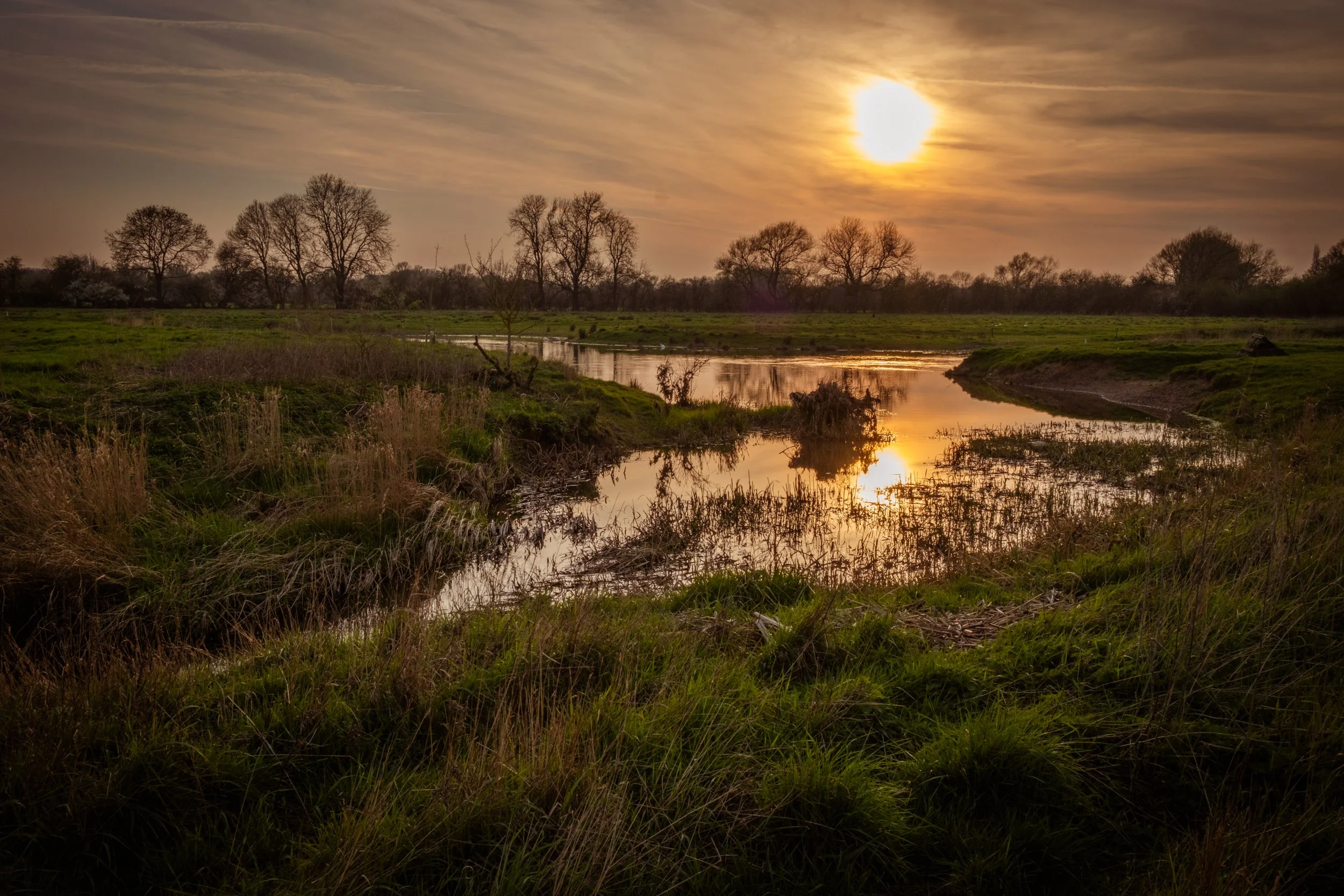 A scenic landscape of a river or creek with green grass and trees, under a cloudy sky at sunset.